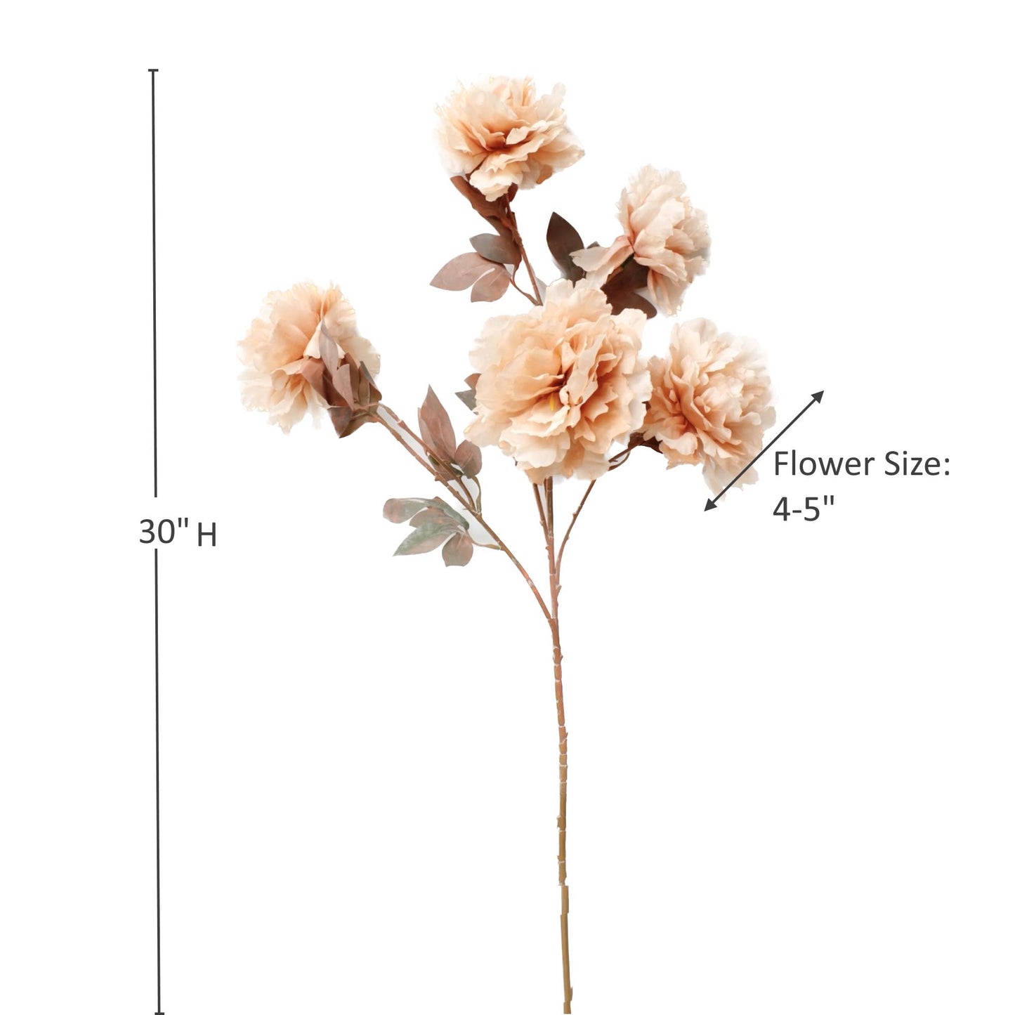 30" Rustic Artificial Silk Peony spray with 5 Blooms