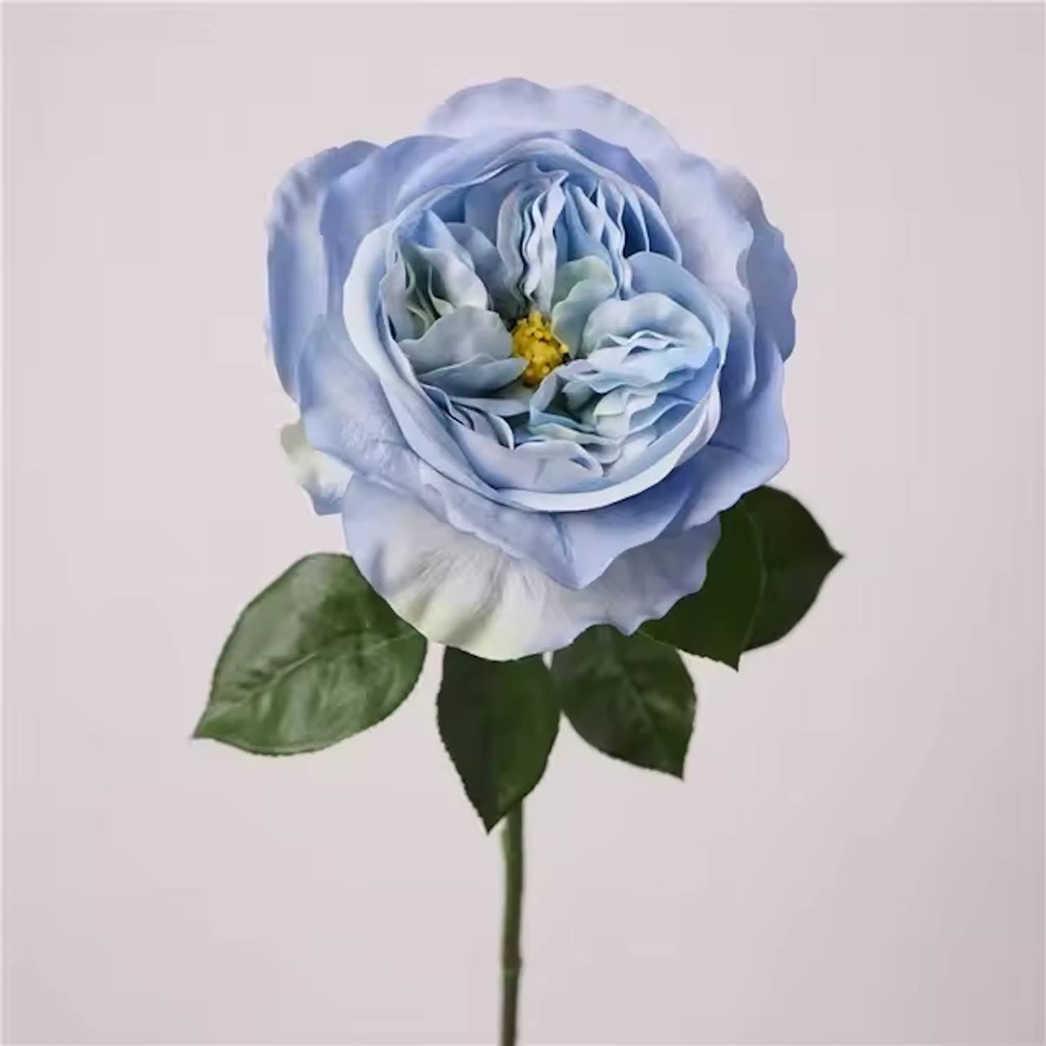 18"Elegant Real touch Juliet Rose-Moisture-touch coating