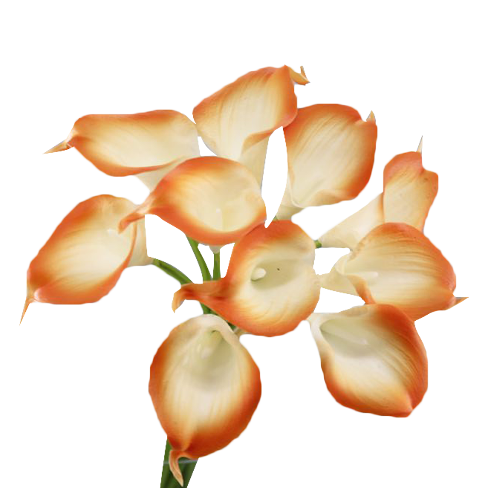 Pack of 10-Real Touch Calla lily-yellow orange color palette