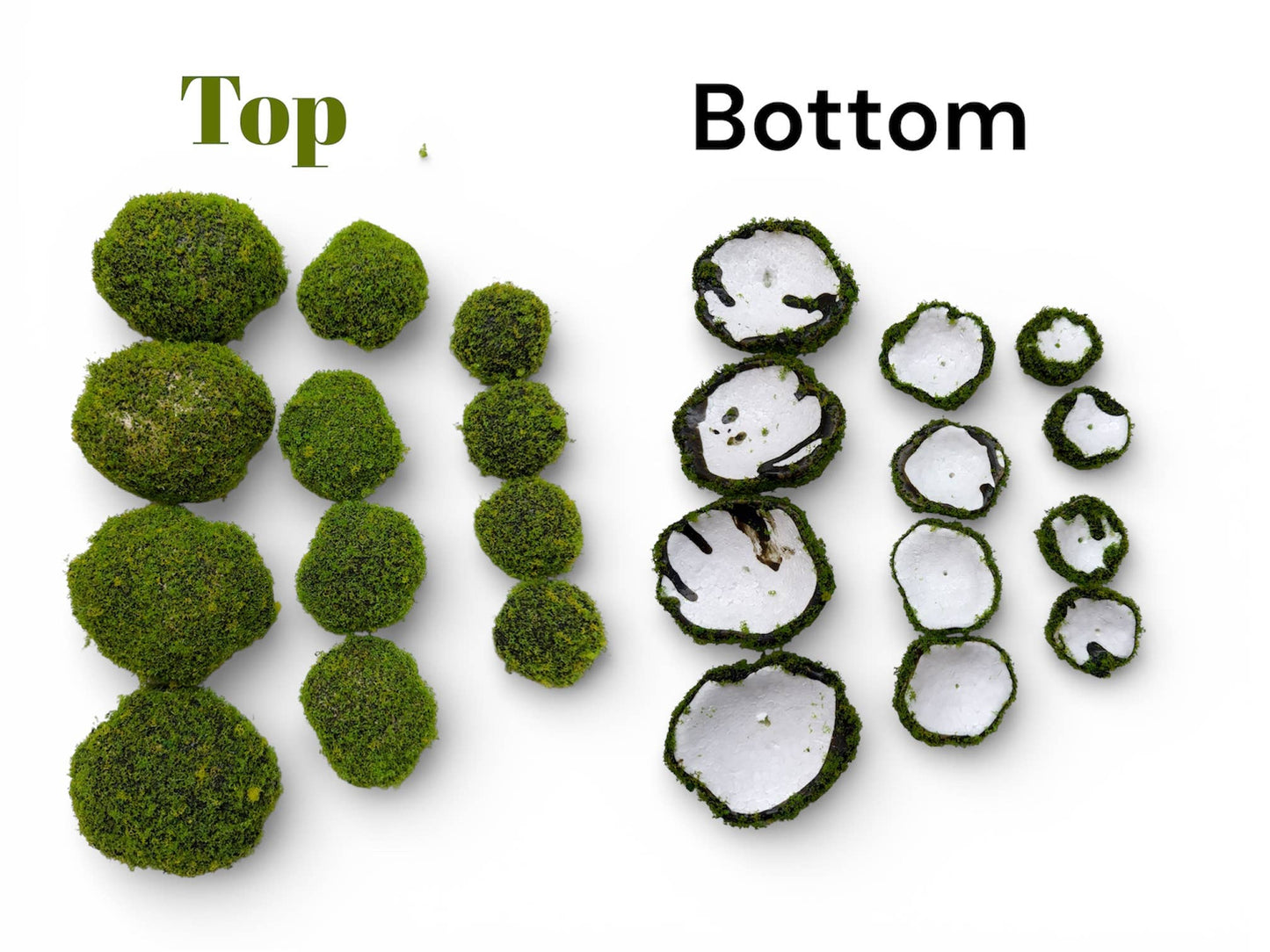 Assorted Sizes (Pack of 12)Artificial Petite Moss Dome Set
