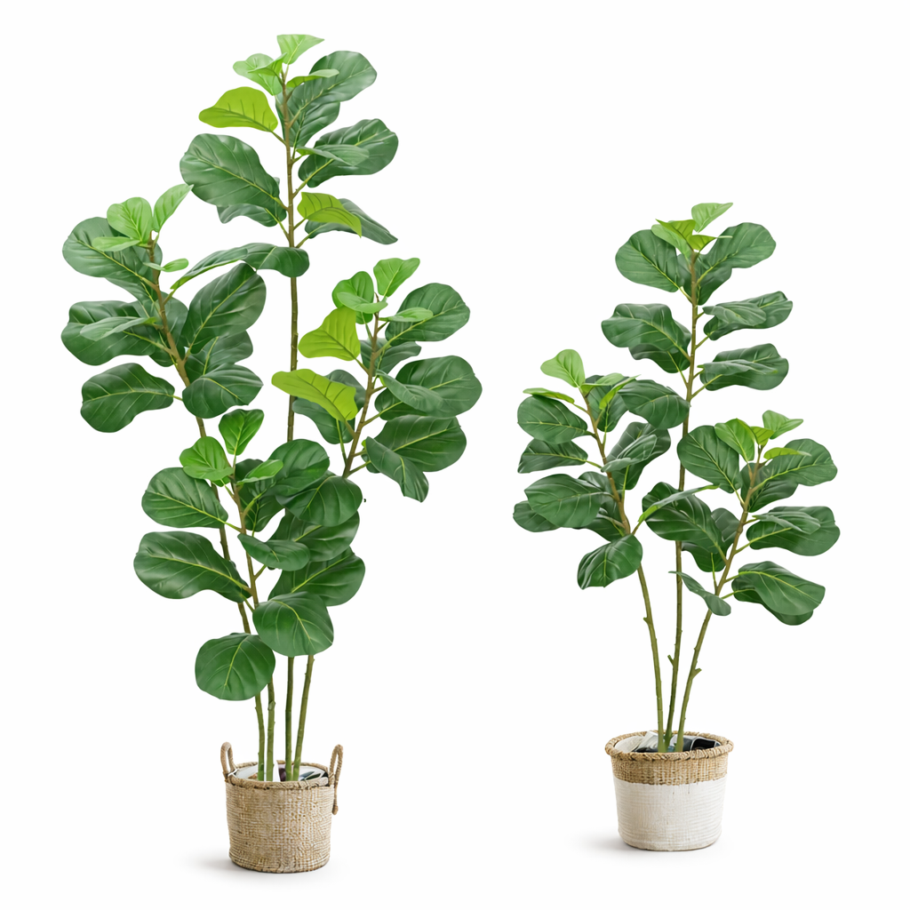 Signature Multi-Trunk (3 & 4) Artificial Fiddle Leaf Fig