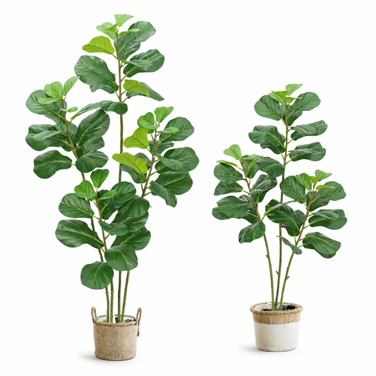 Signature Multi-Trunk (3 & 4) Artificial Fiddle Leaf Fig
