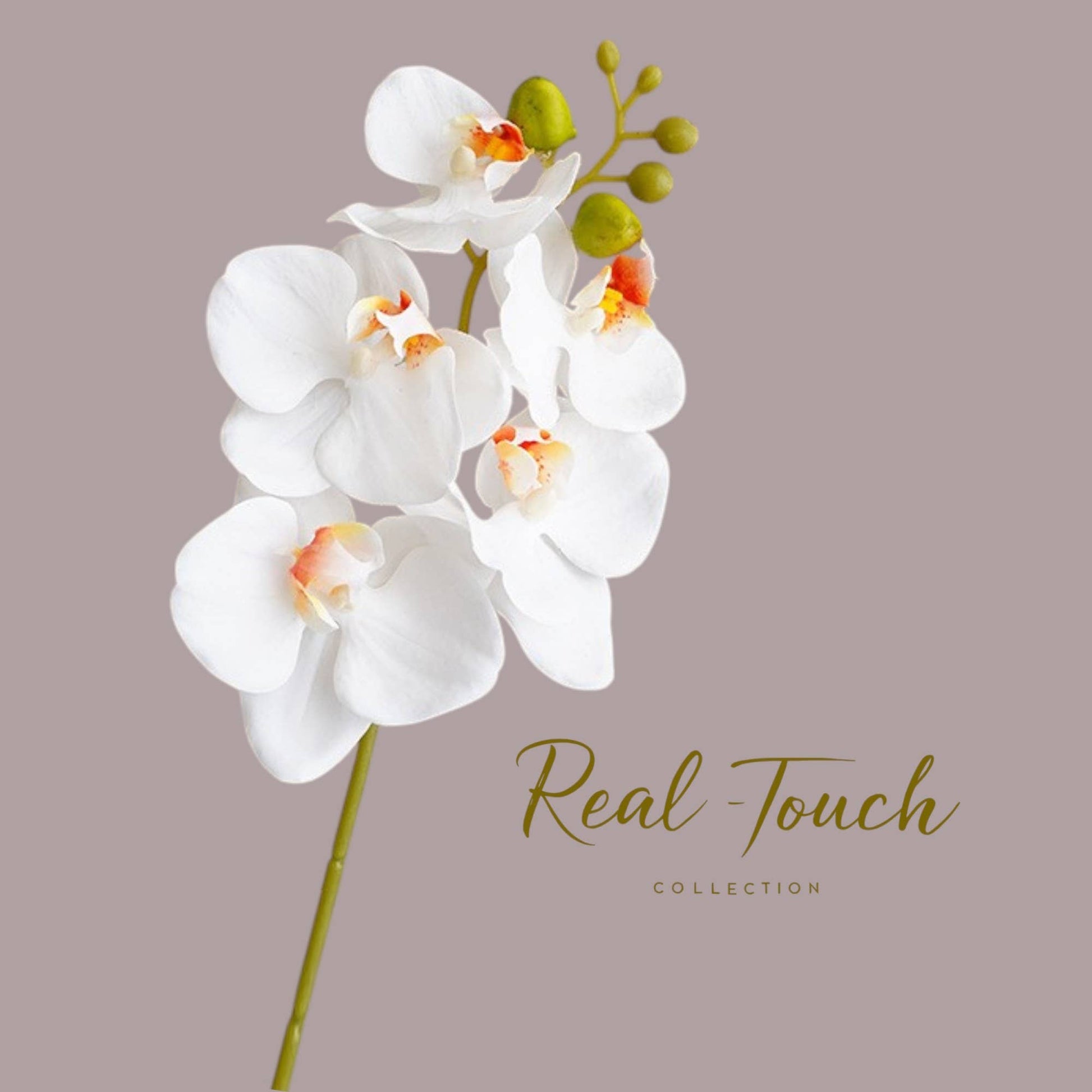 17.5" Real Touch Orchid – High-End Moisturized Coating