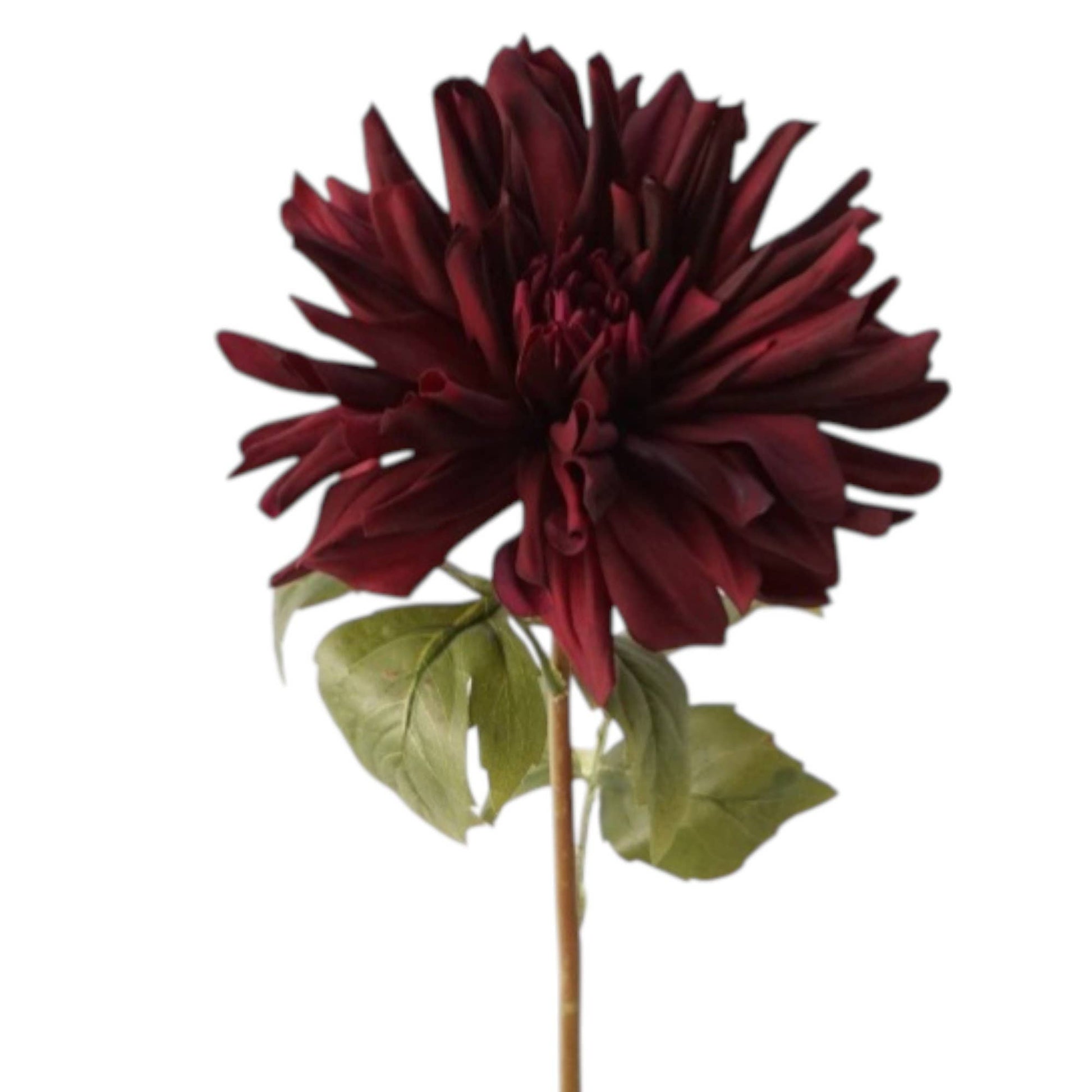 24" Designer's Pick-Real Touch Dahlia-Moisturized Coating