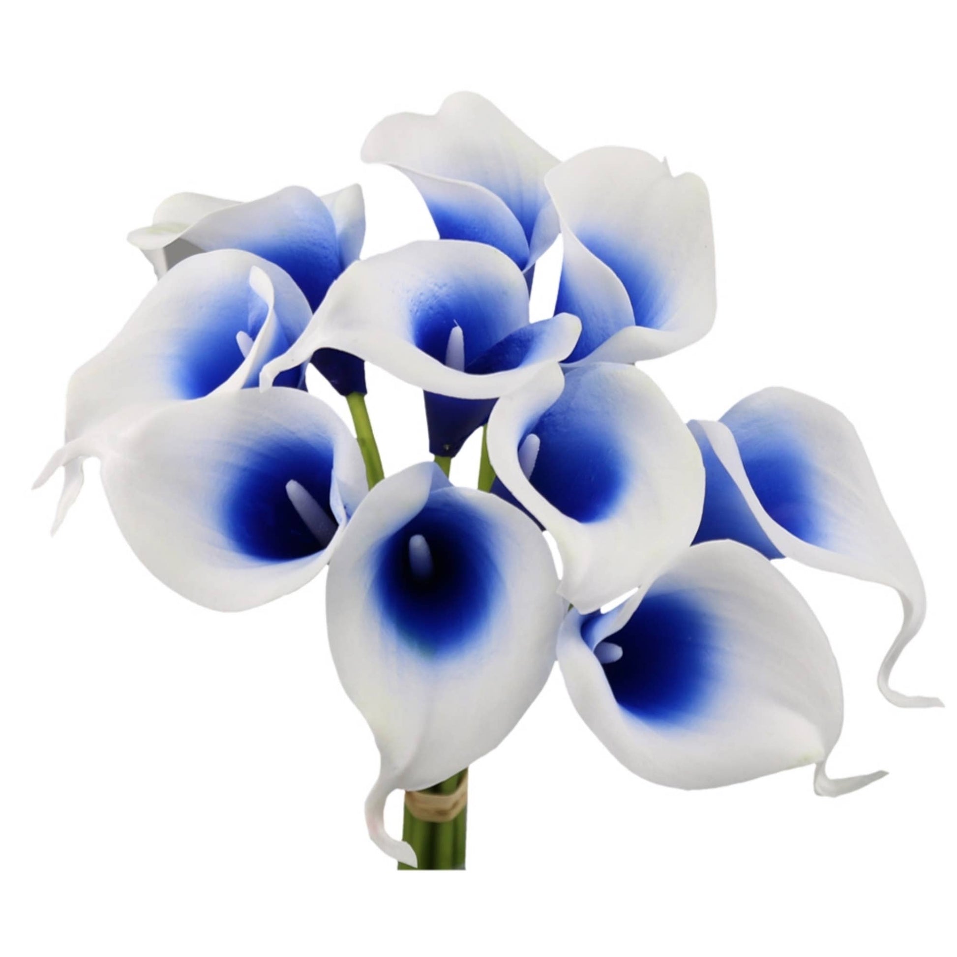 Pack of 10-Lifelike Real Touch Calla lily-Blue Collection