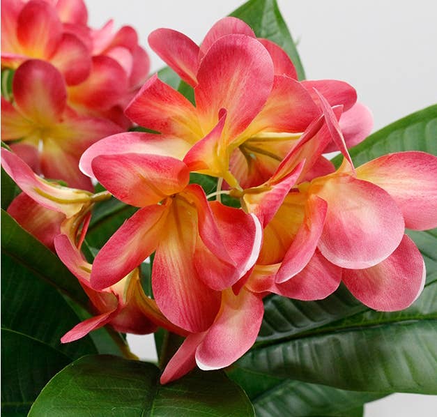 34"Real Touch Leaves Silk Plumeria Frangipani Flower Stem