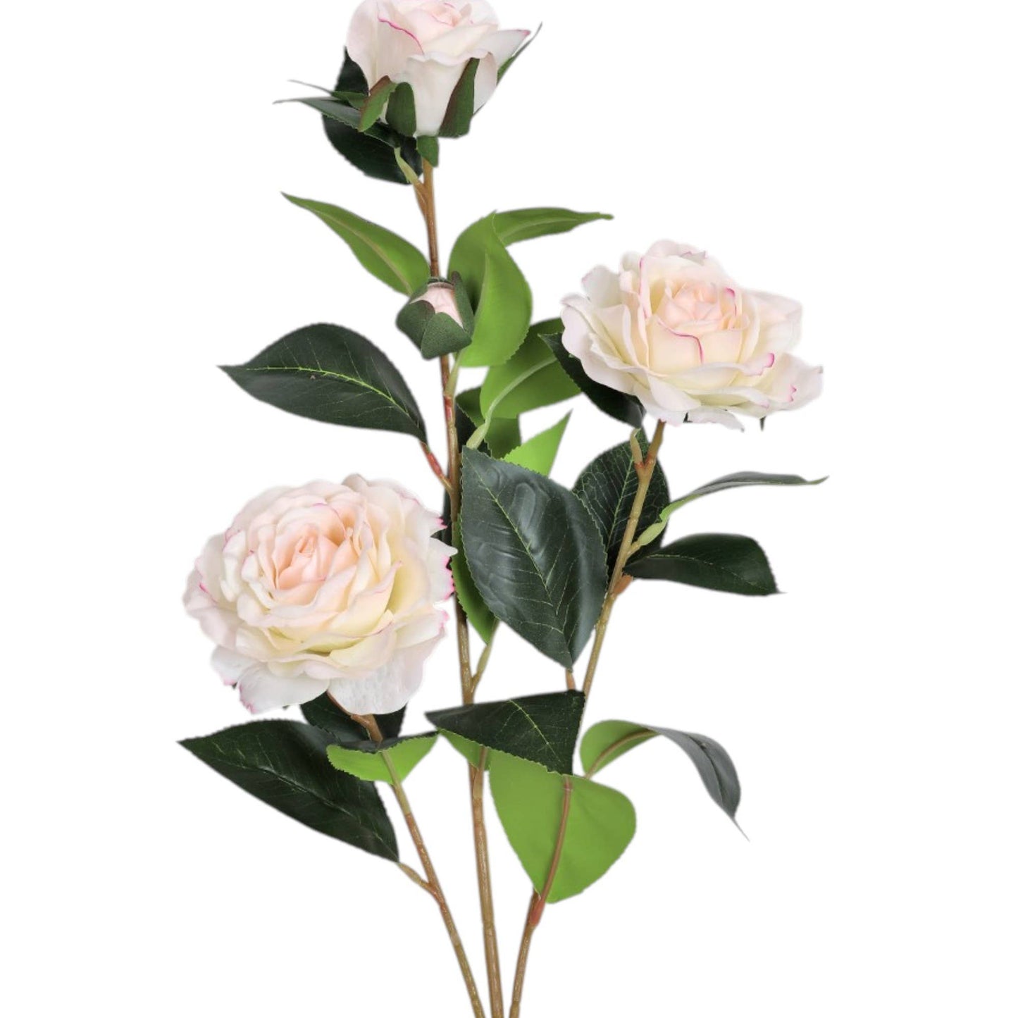 31.5"Real Touch Moisturized Coating Camellia-4 blooms