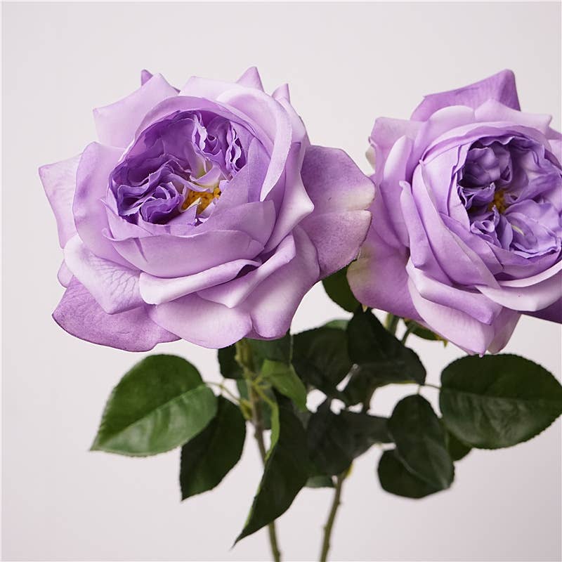 27"-Lux Faux Juliet Rose-Moisturizing Finish-5"Bloom