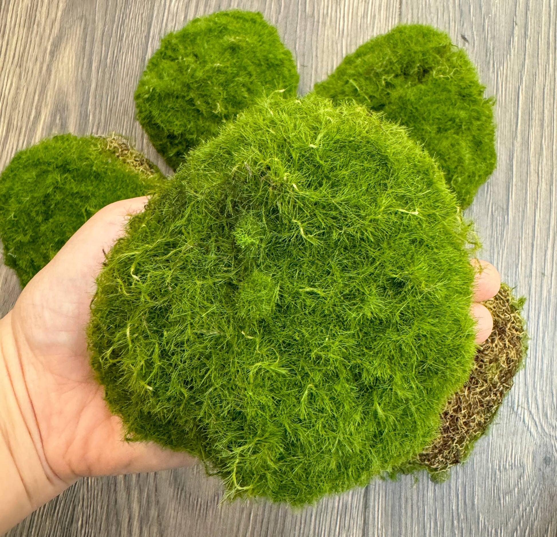Pack of 6-Large Lifelike Mixed Sizes Artificial Moss pad