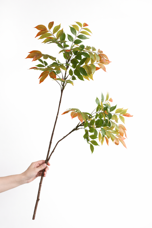 Luxe Wisteria Foliage Branch — 43” Designer Greenery Stem
