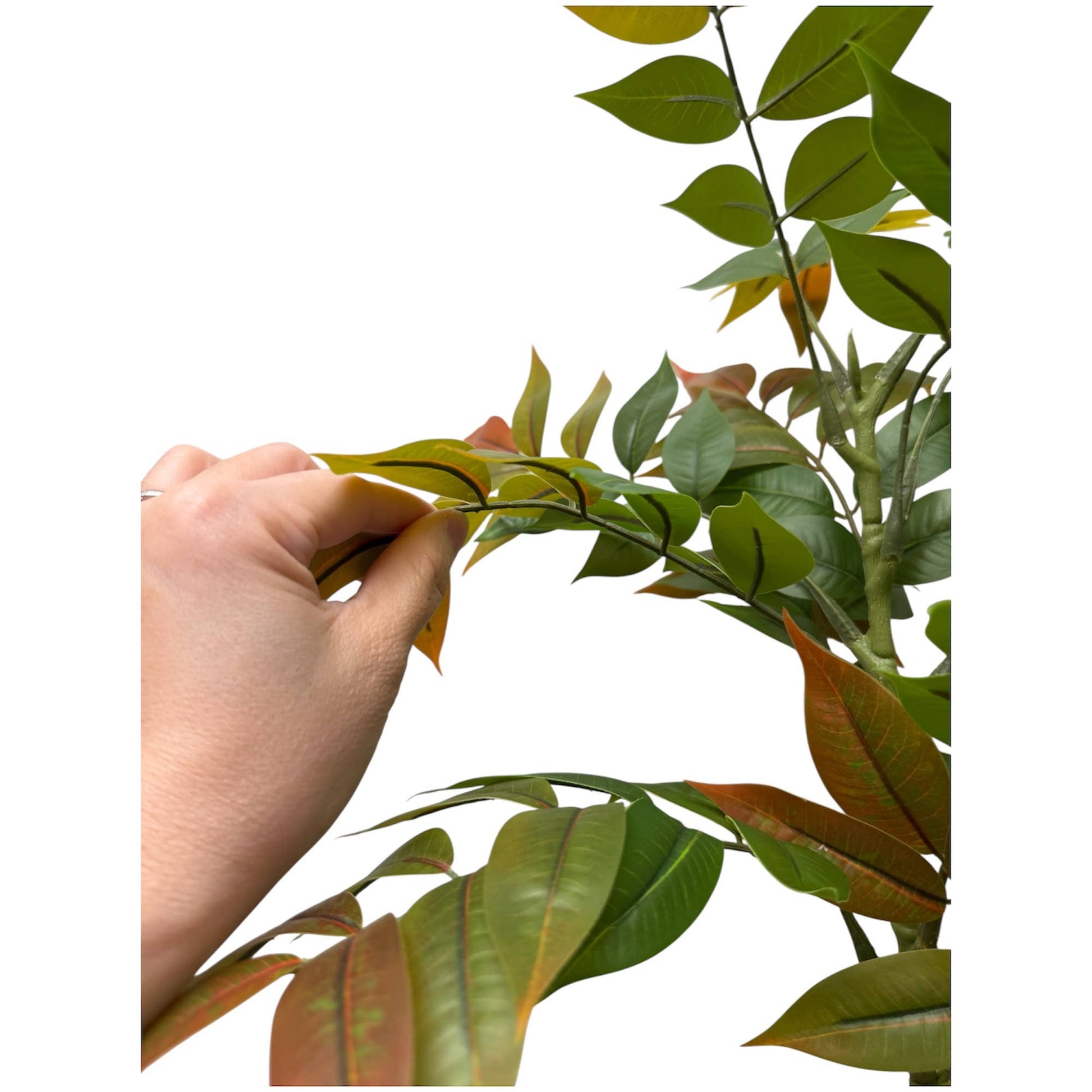 Luxe Wisteria Foliage Branch — 43” Designer Greenery Stem