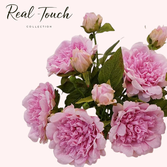 25.5"- Real Touch Peony Stem-2 Blooms