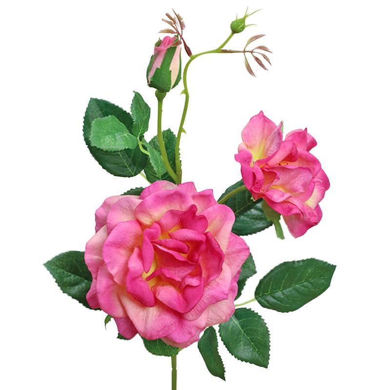 27" Real Touch Moisturized coating Rose spray