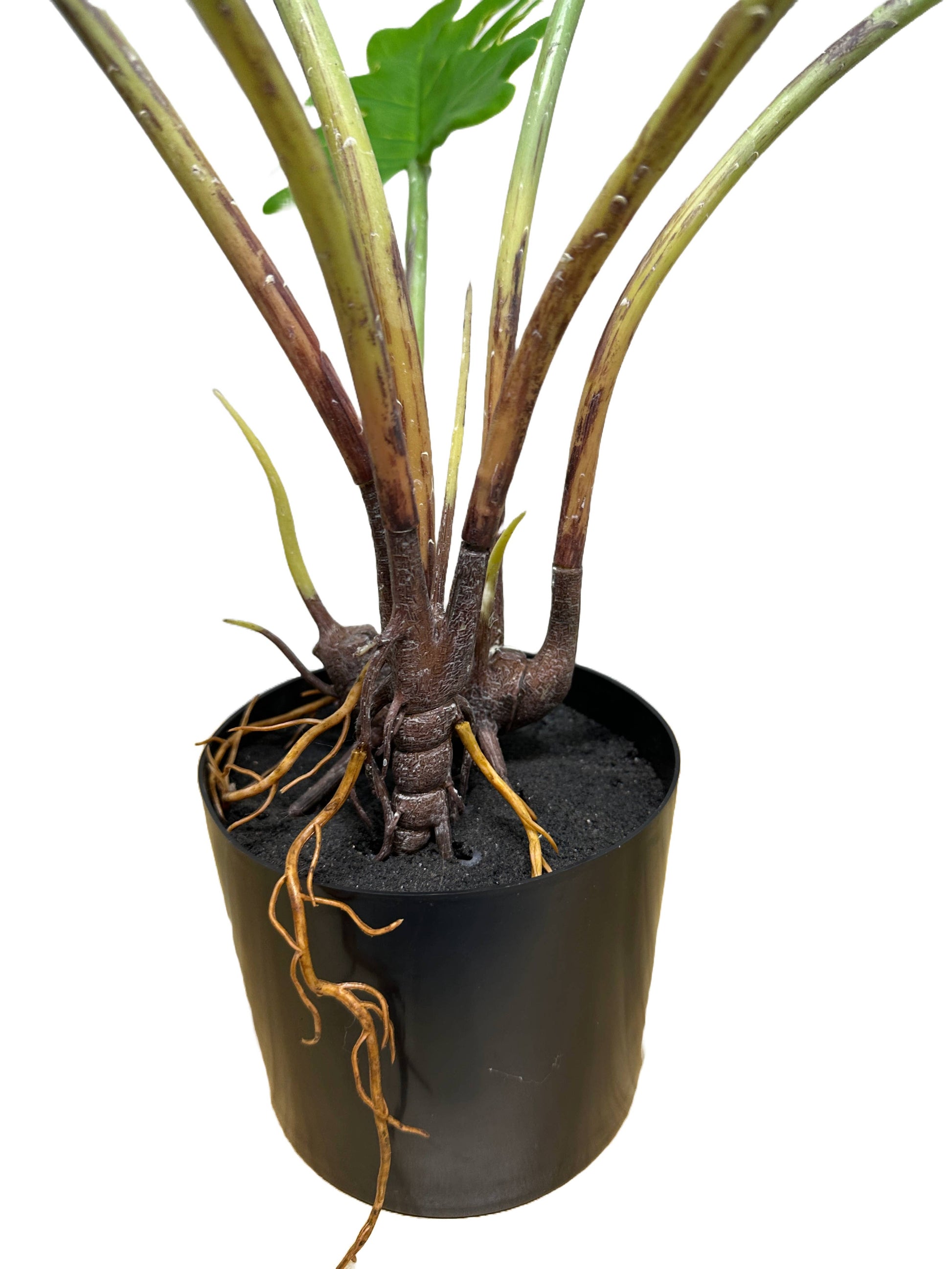 28"High Real touch Artificial Split Leaf Philodendron Plant