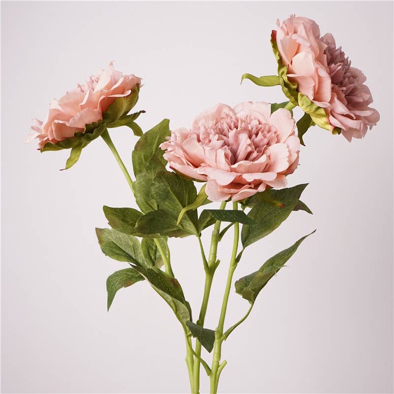 23.5"-Real Touch Moisturized Coating Peony Stem