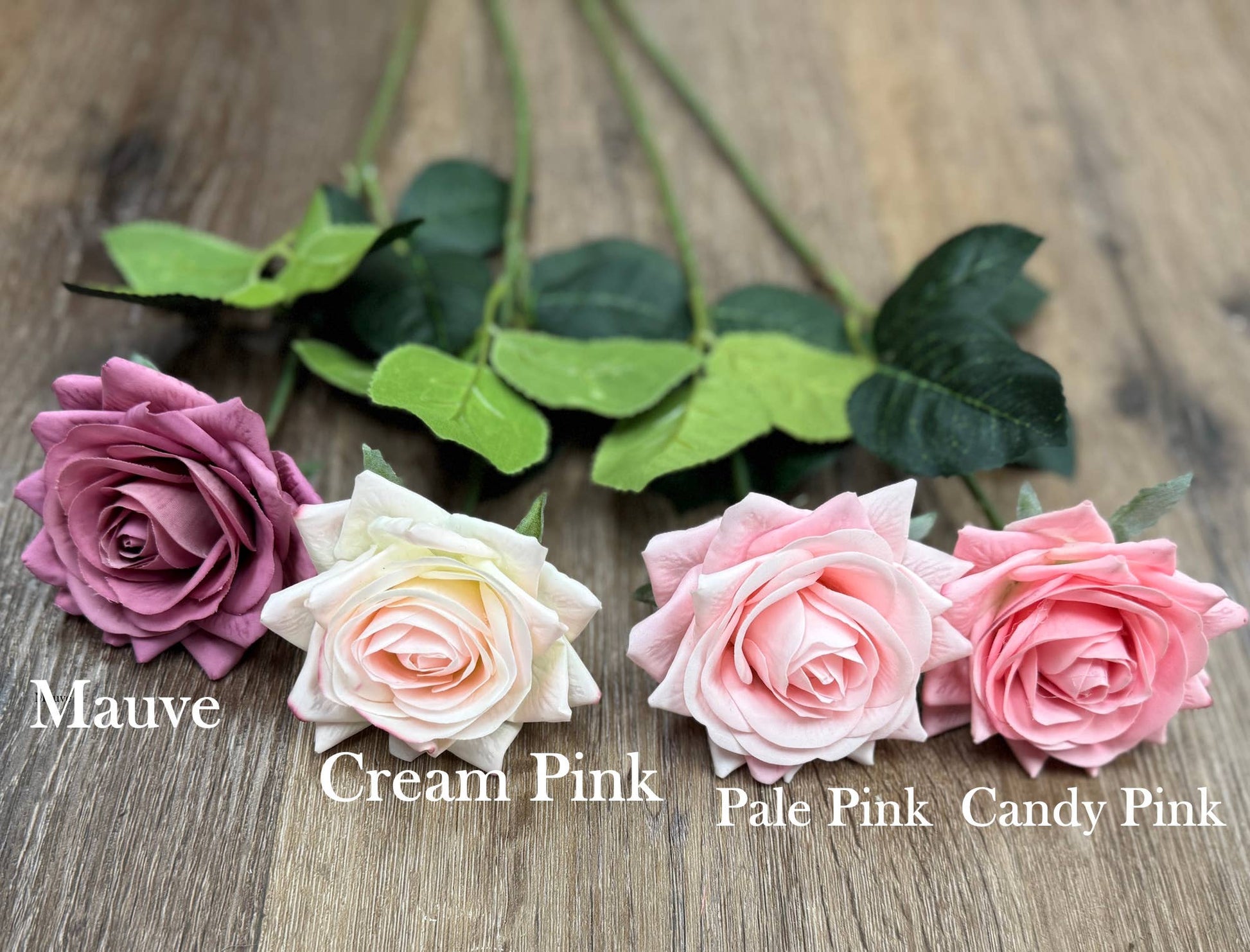 Pack of 50 stems-Ultra Realistic Rose-17"