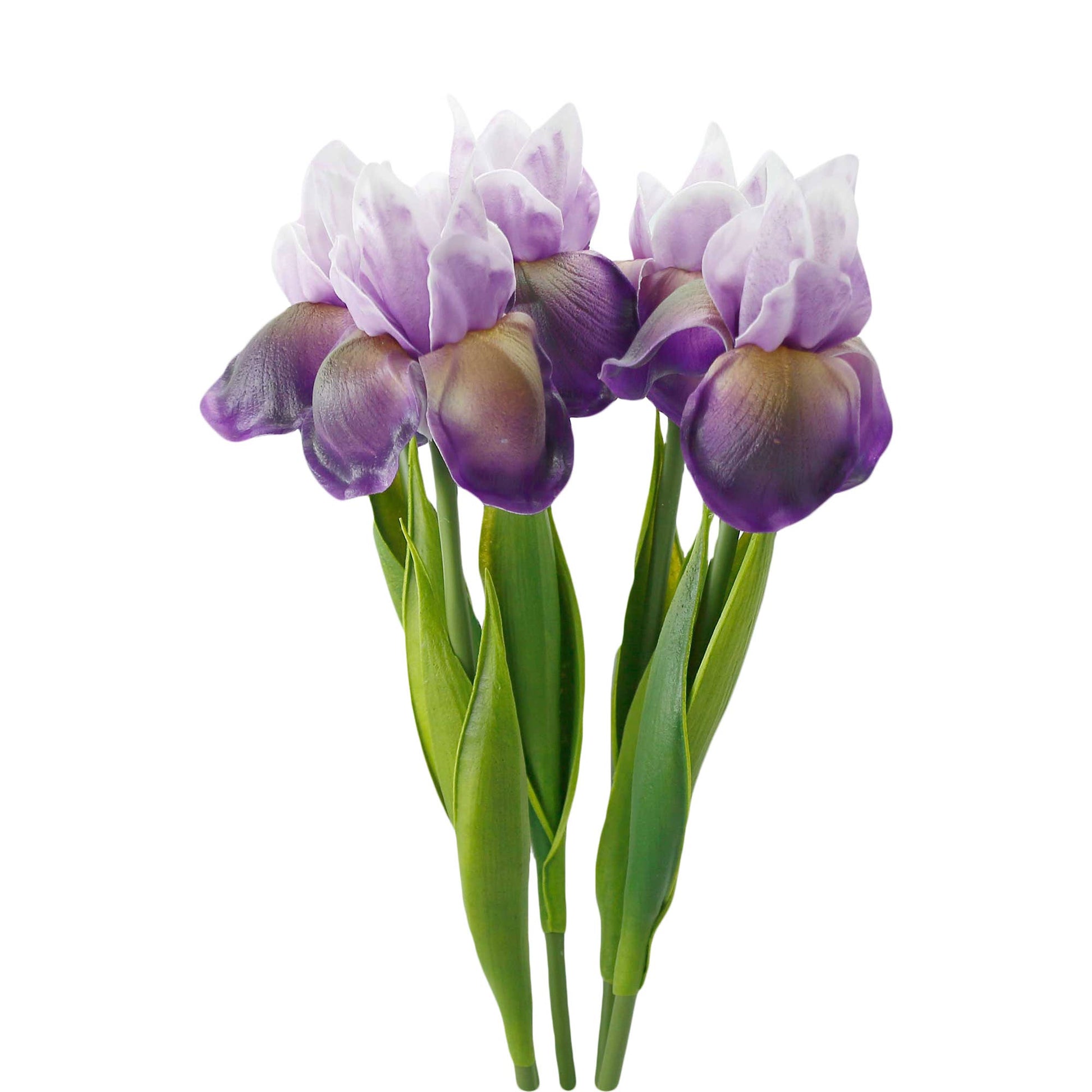 18"-Ultra Soft Real Touch Bearded Iris Stem