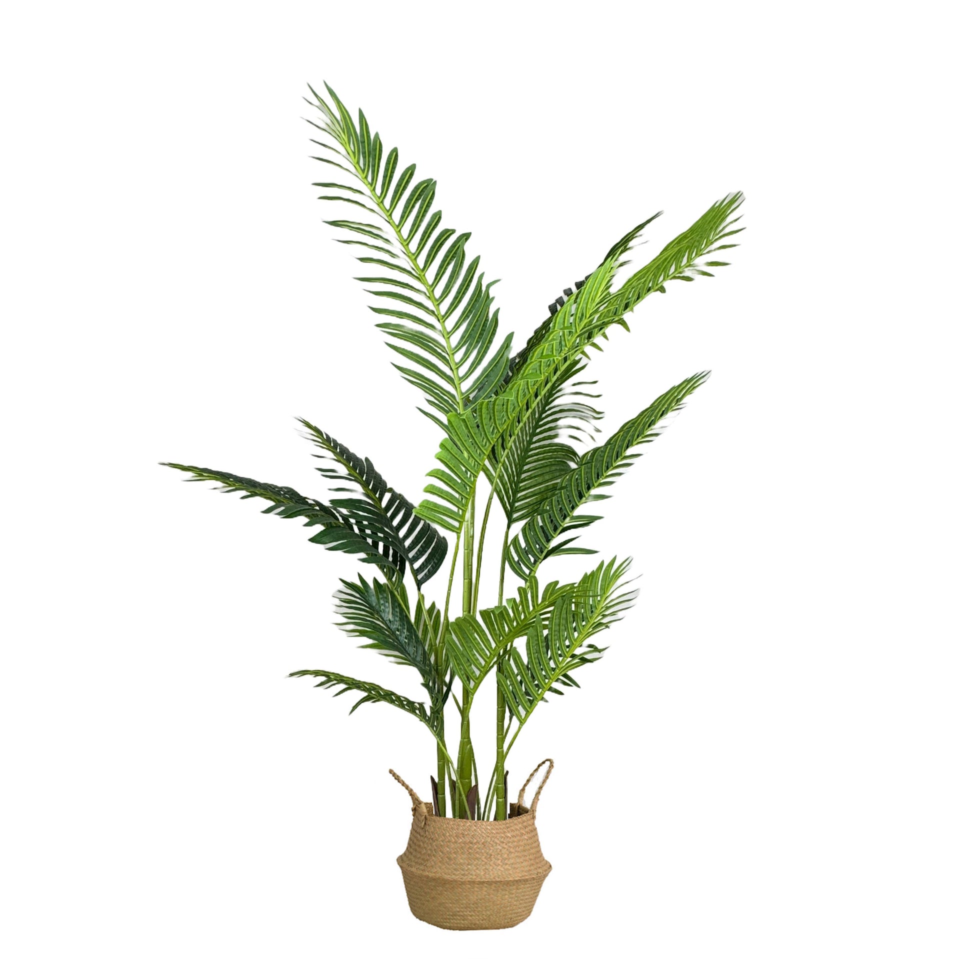 Foldable Seagrass Belly Basket/planter–Natural Woven Storage