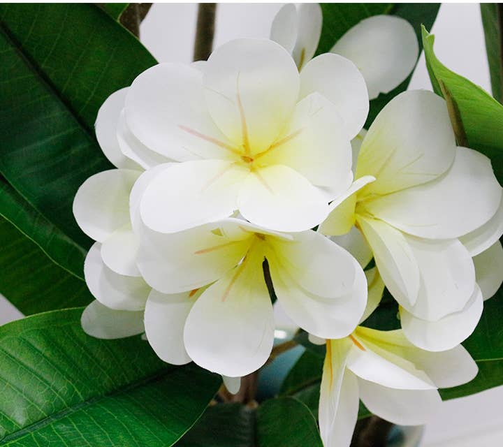 34"Real Touch Leaves Silk Plumeria Frangipani Flower Stem