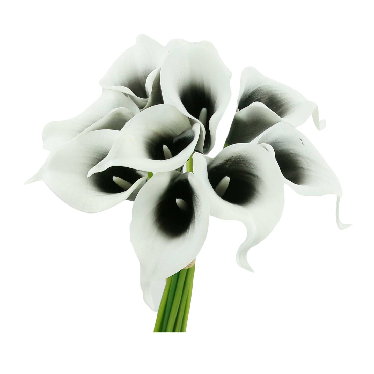 Pack of 10-Real Touch Calla lily-Silver Black color palette