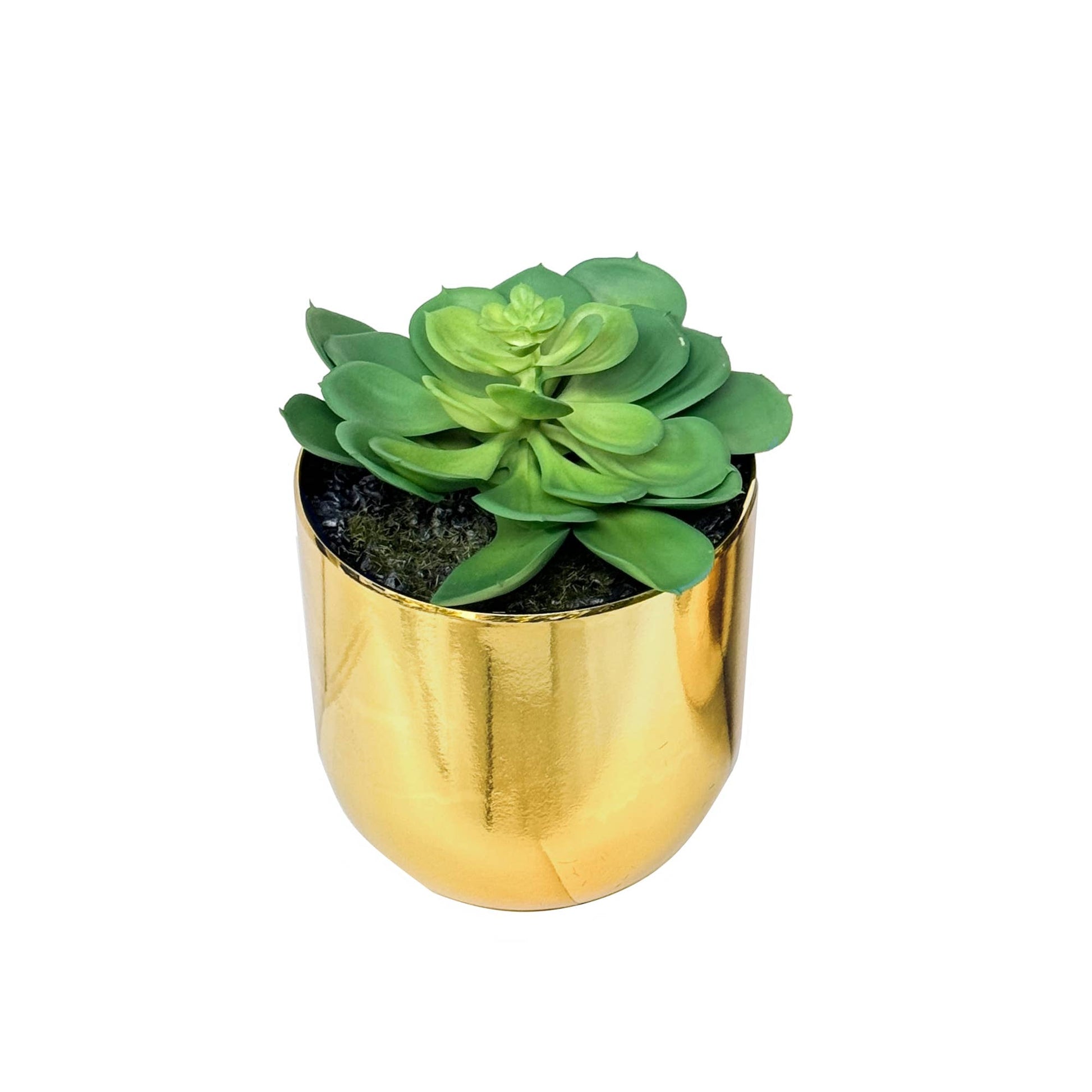 Potted Artificial Tabletop Succulents -Echeveria Yucca