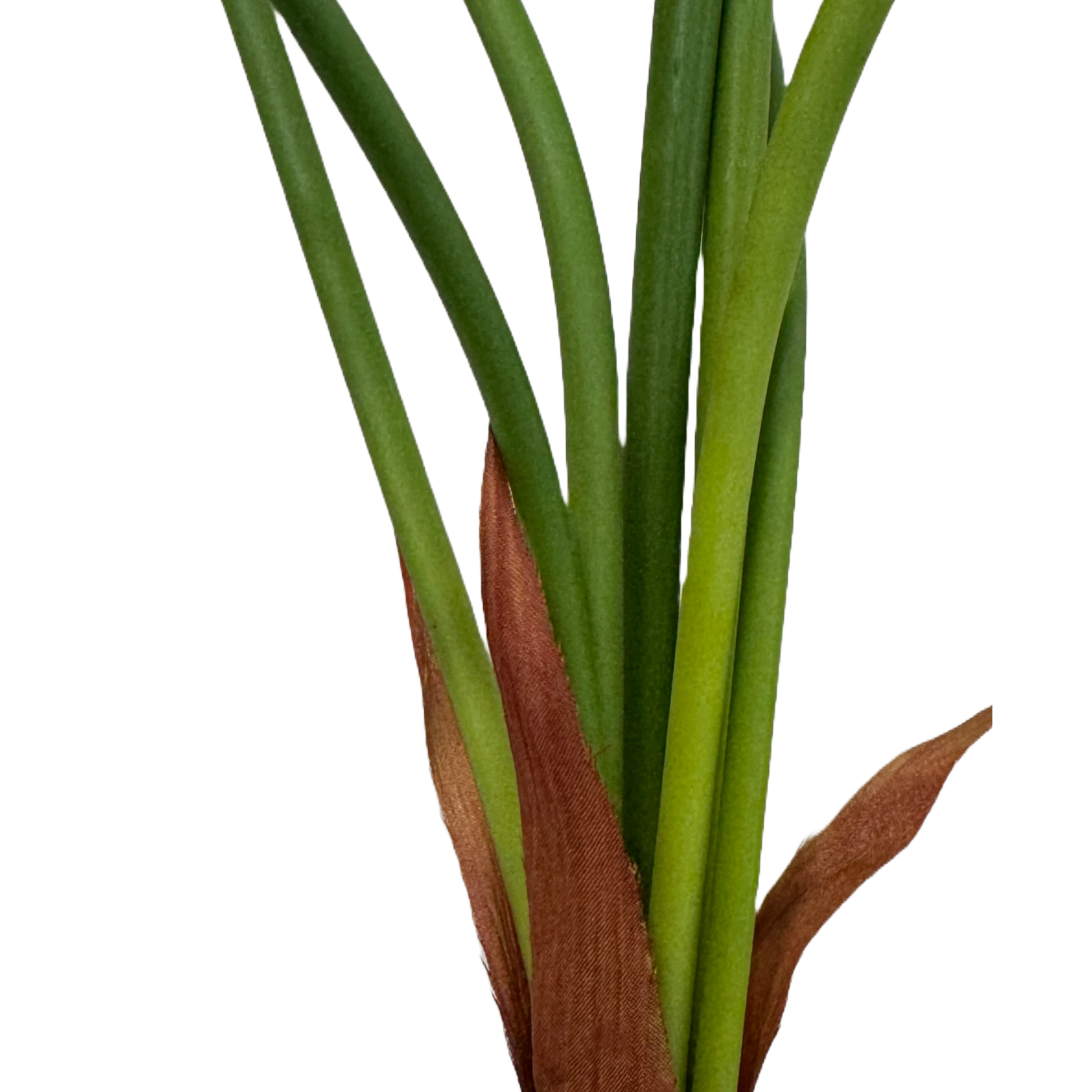 35" Artificial Bird of Paradise Leaf Bush-7 Sprays
