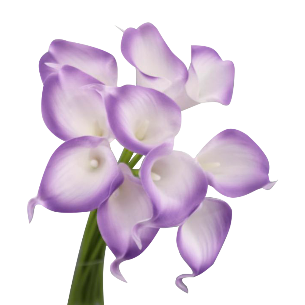 14"-Pack of 10 stems-real touch calla lily small bloom