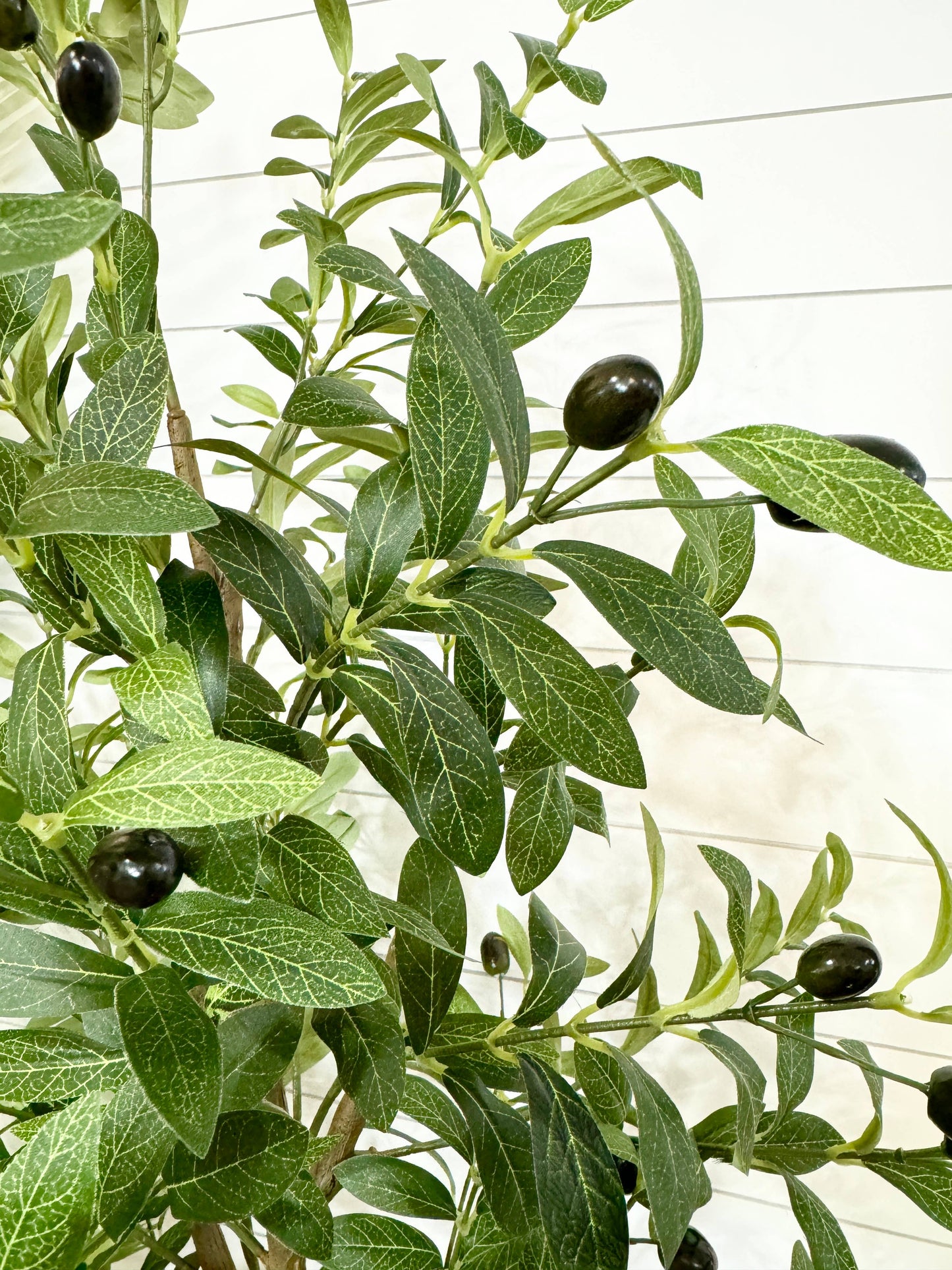 Dense Foliage-Artificial Quality Realistic Olive Tree