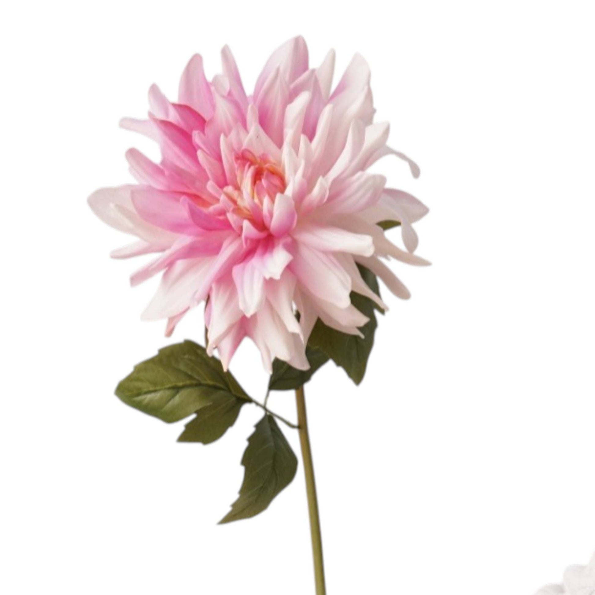 24" Designer's Pick-Real Touch Dahlia-Moisturized Coating
