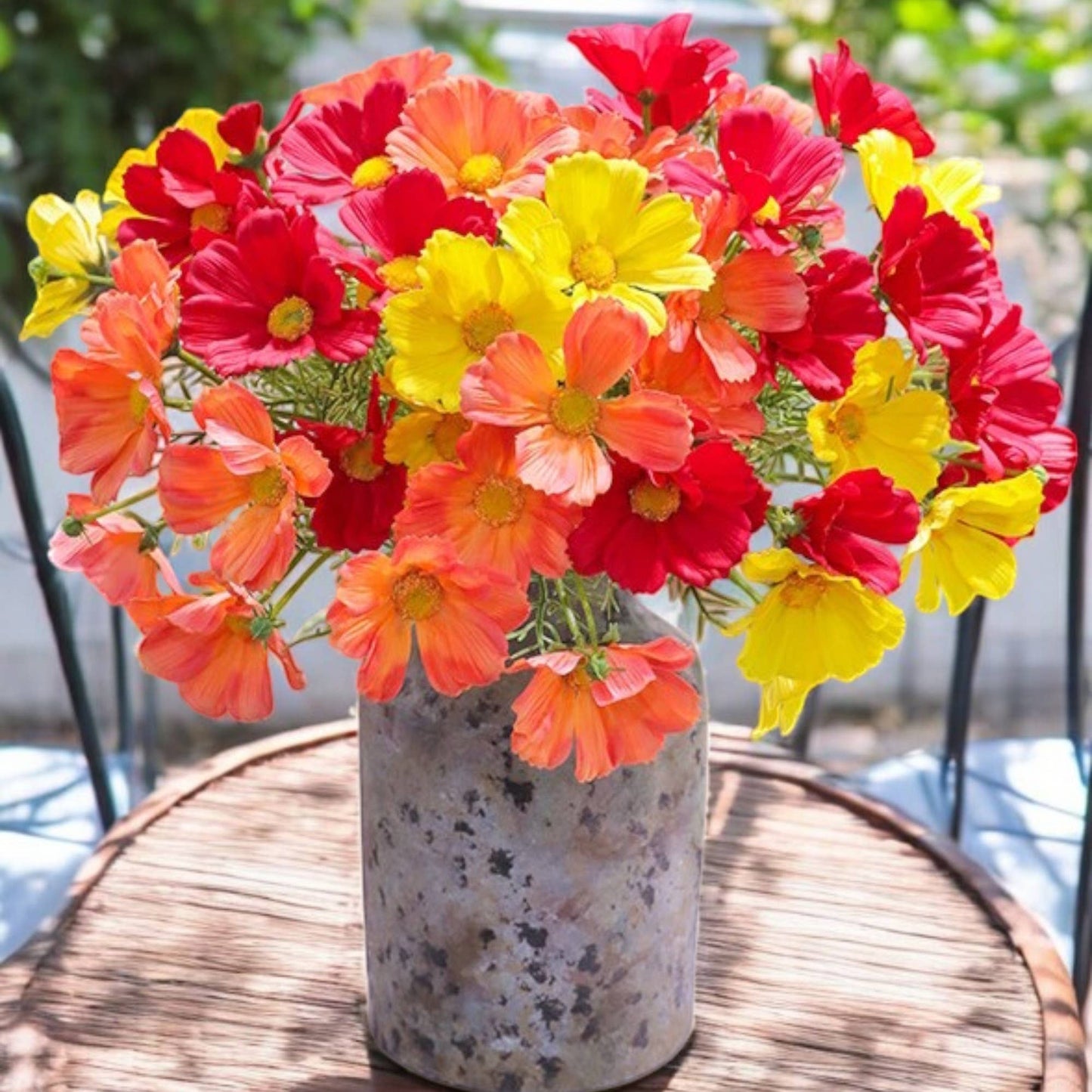 20" Real Touch Cosmos Flowers-vibrant lifelike colors