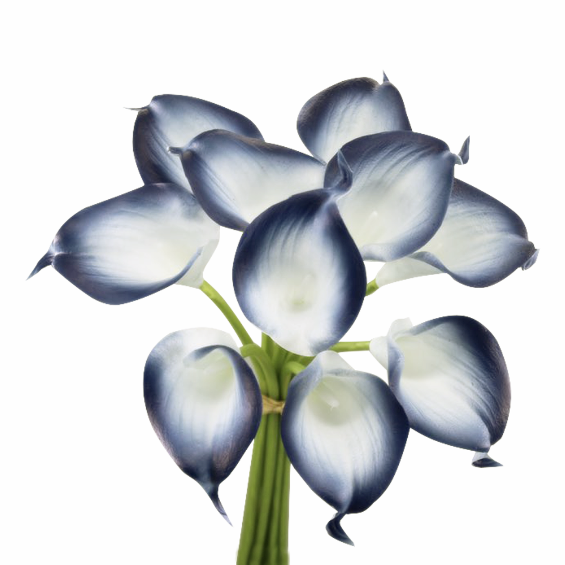 Pack of 10-Lifelike Real Touch Calla lily-Navy Collection