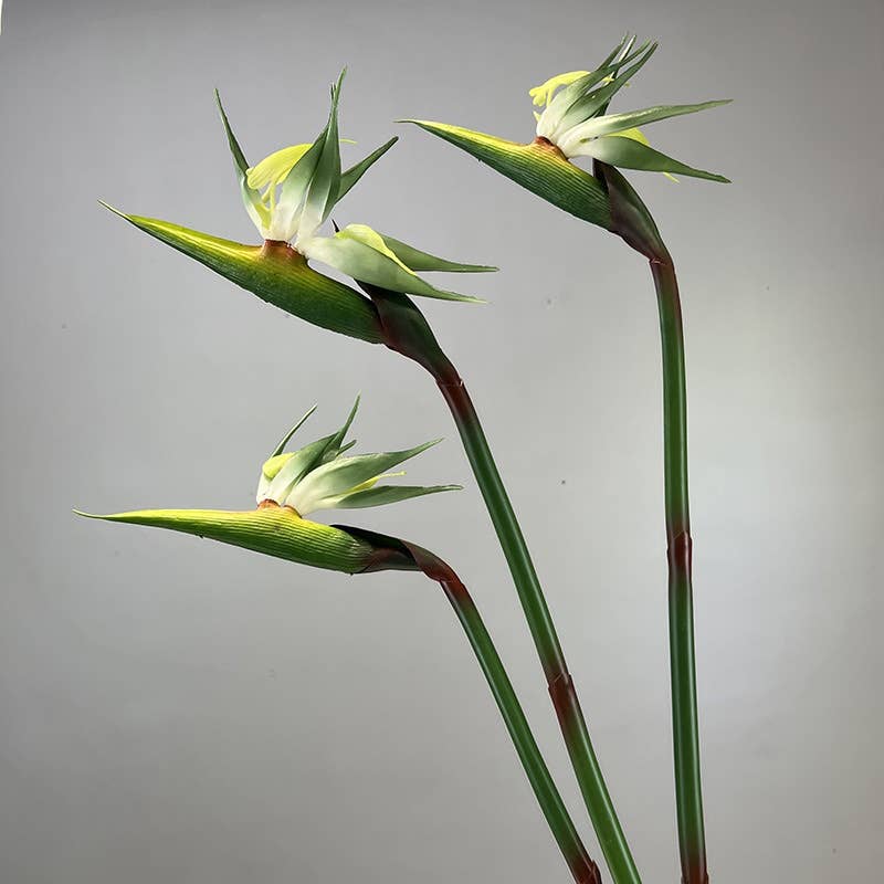 32"Large Realistic Real Touch Bird of Paradise Flower