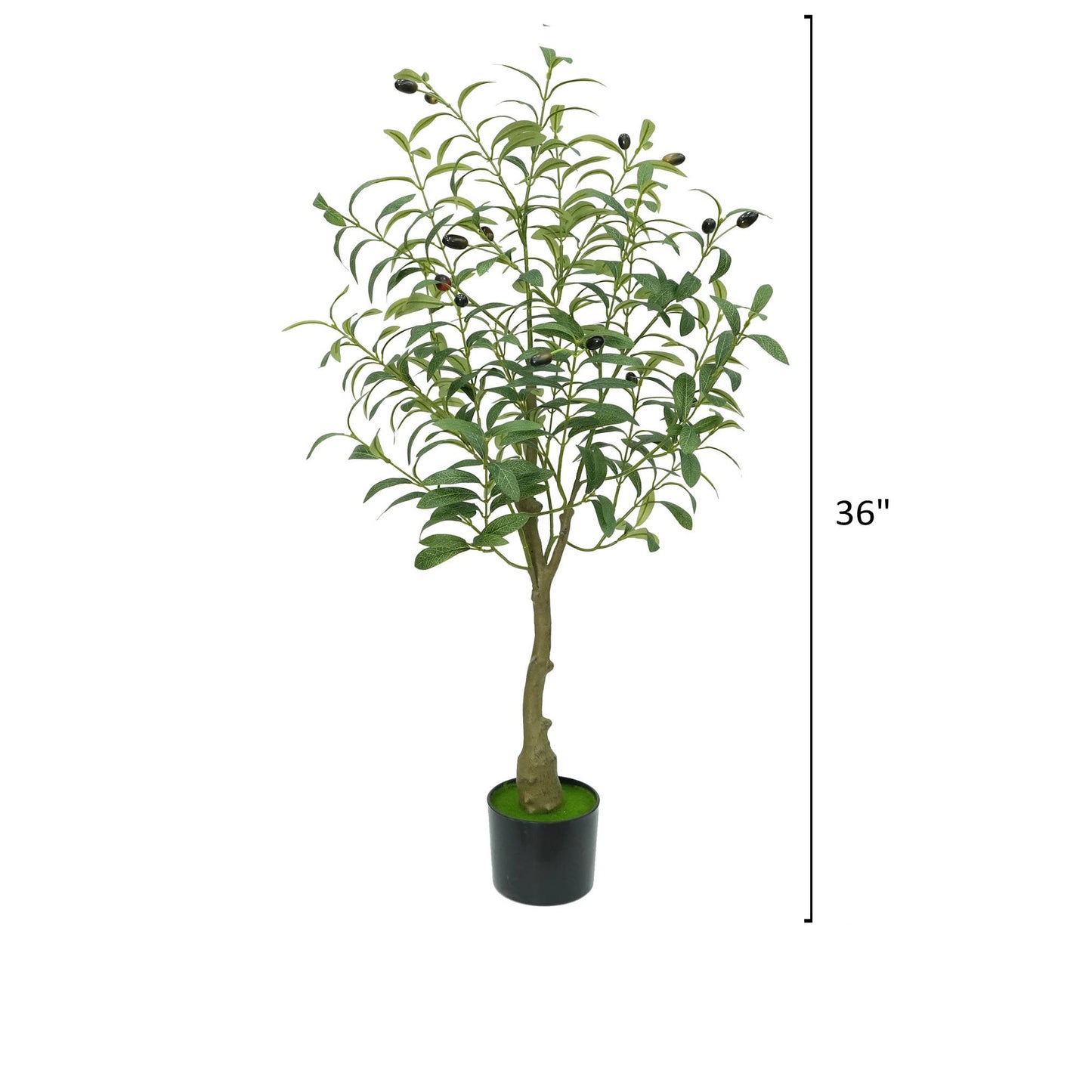 Dense Foliage-Artificial Quality Realistic Olive Tree