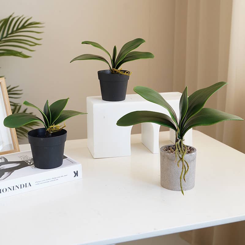 10"Ultra Soft-Artificial Soft Touch Orchid Leaves