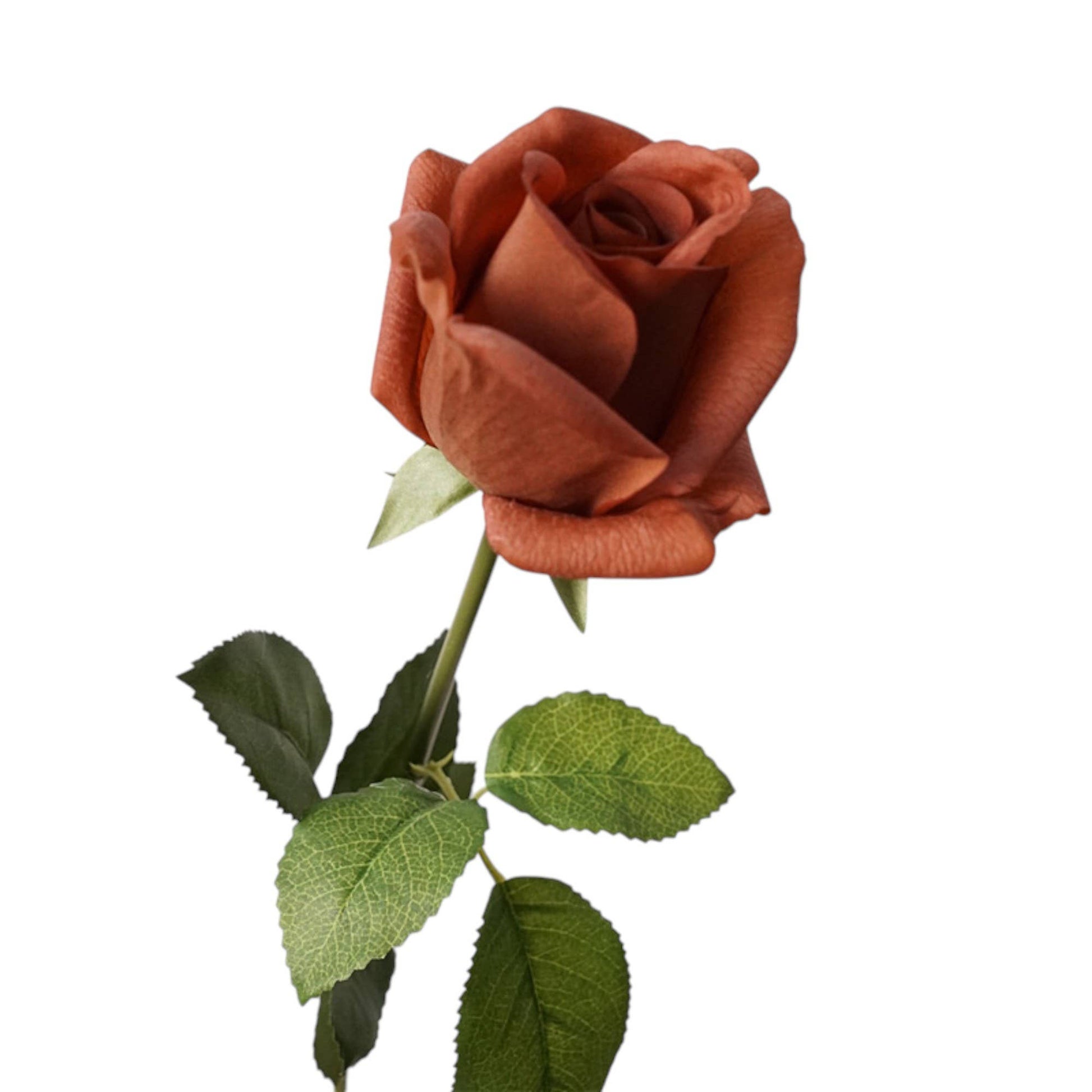 21.5" Ultra Realistic Faux Rose Stem–Moisturizing coating