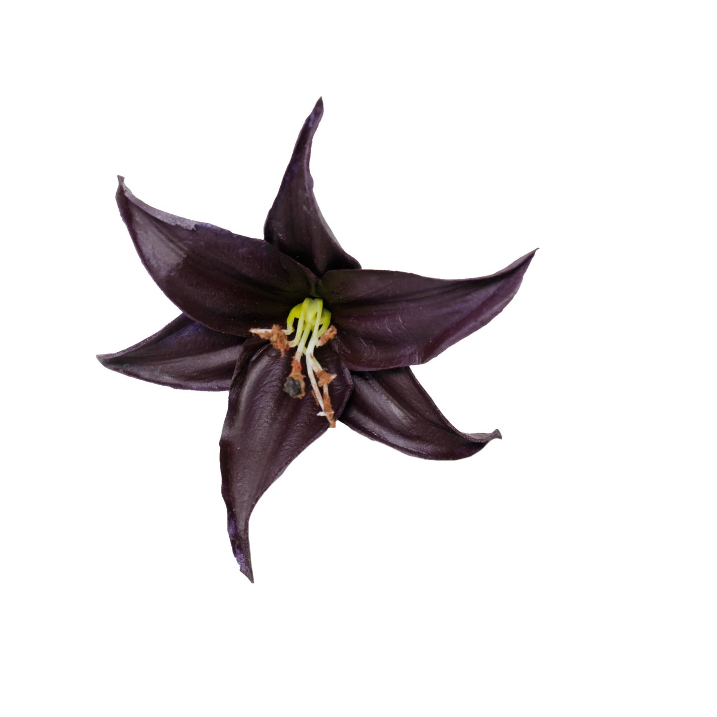 Real Touch Lily with Bendable stem
