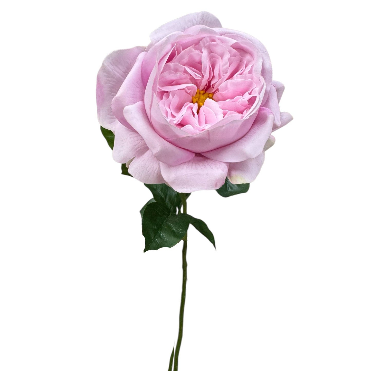 18"Elegant Real touch Juliet Rose-Moisture-touch coating