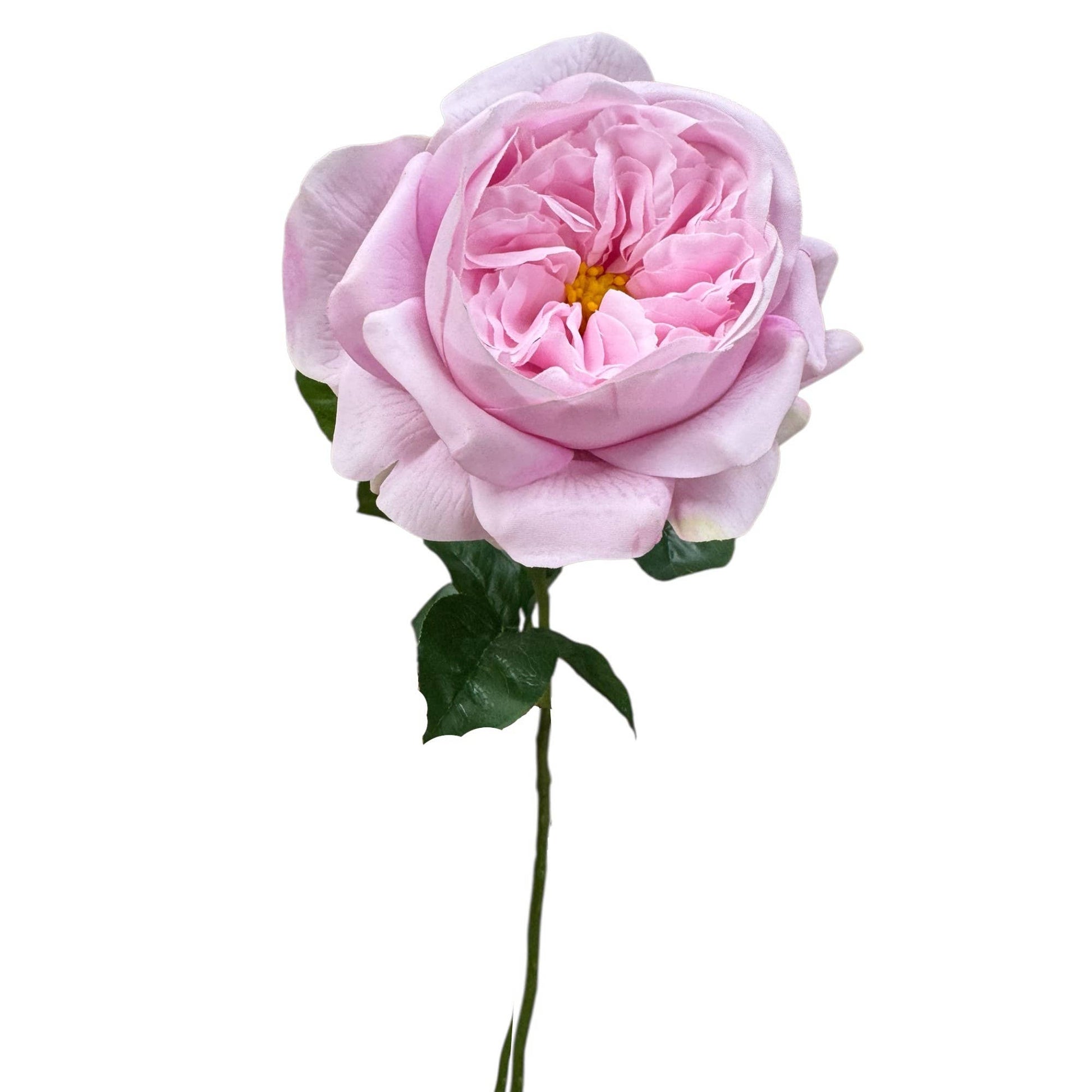 18"Elegant Real touch Juliet Rose-Moisture-touch coating
