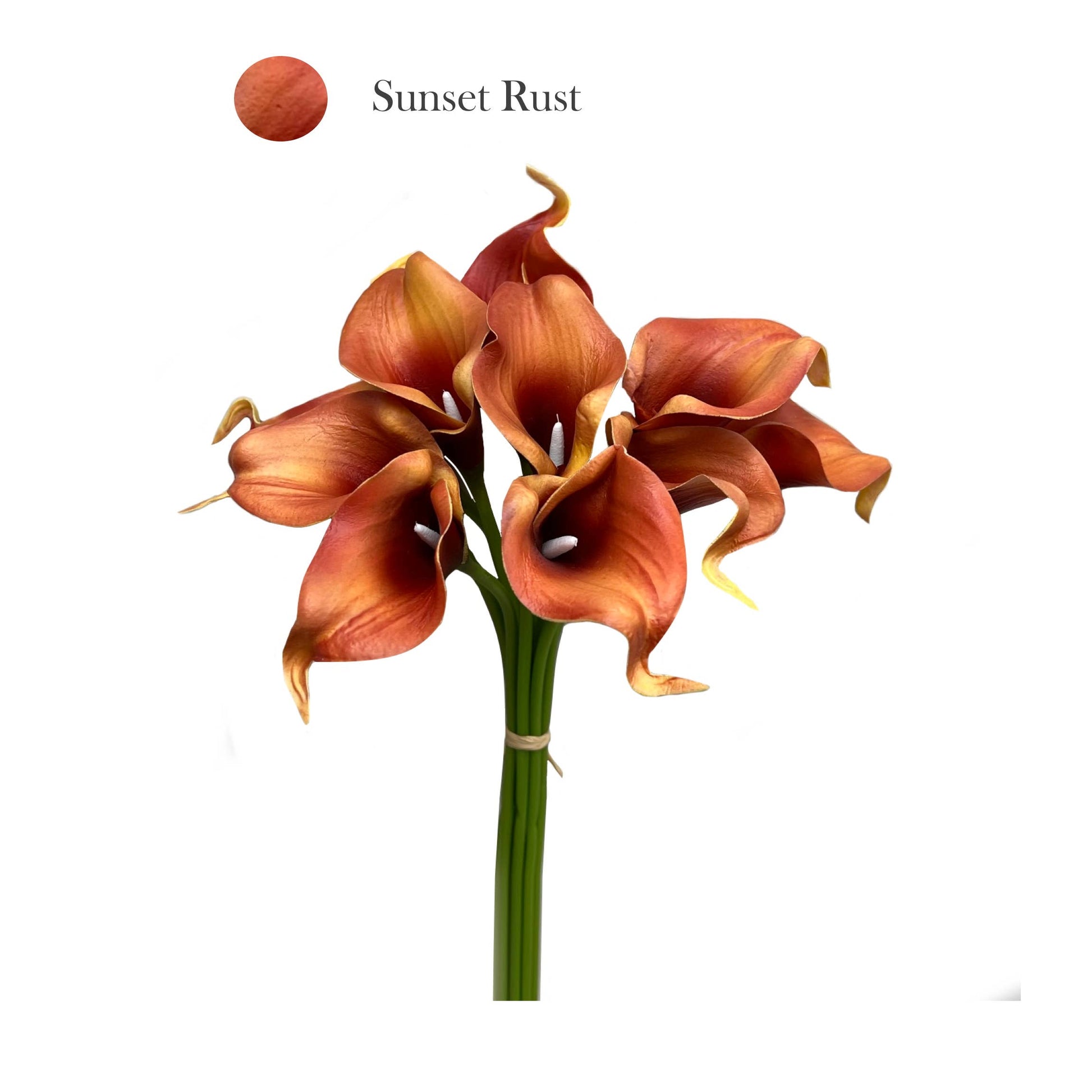 14"-10 stem bundled Real touch sunset orange calla lily