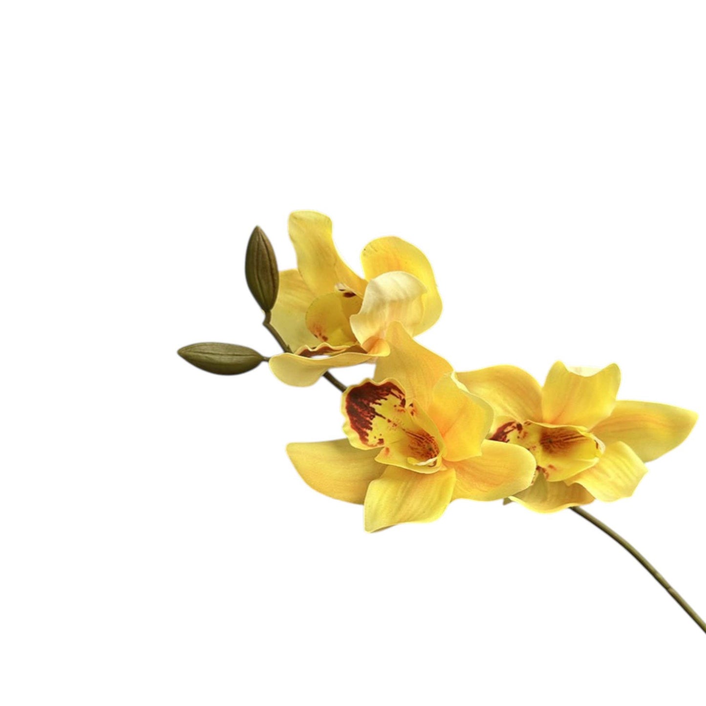 28"Real Touch Cymbidium Orchid Stem-Designer’s Pick