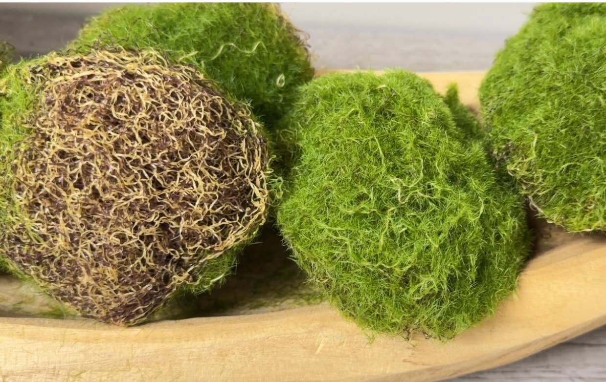 Pack of 6-Large Lifelike Mixed Sizes Artificial Moss pad