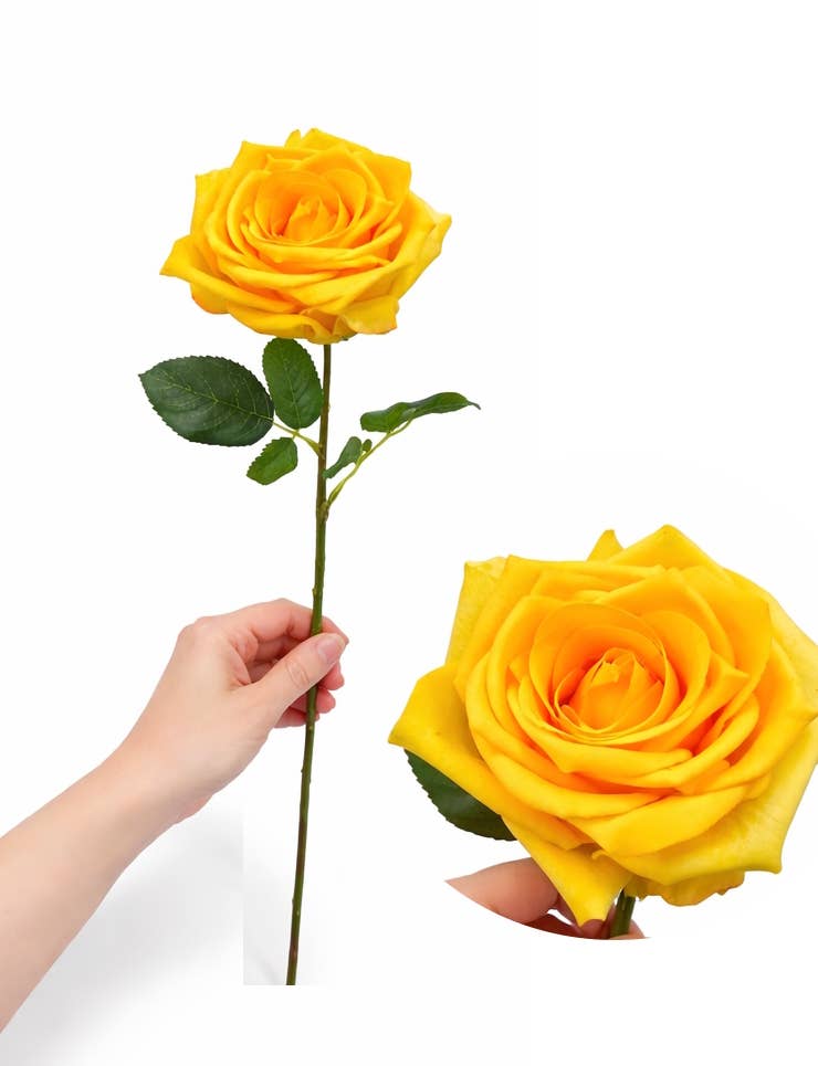 17"Premium-Moisturized coating Real Touch Rose