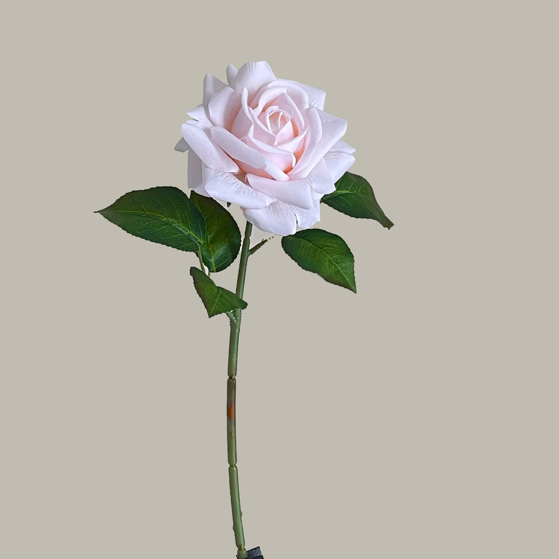 17"Moisturized coating Real Touch Rose
