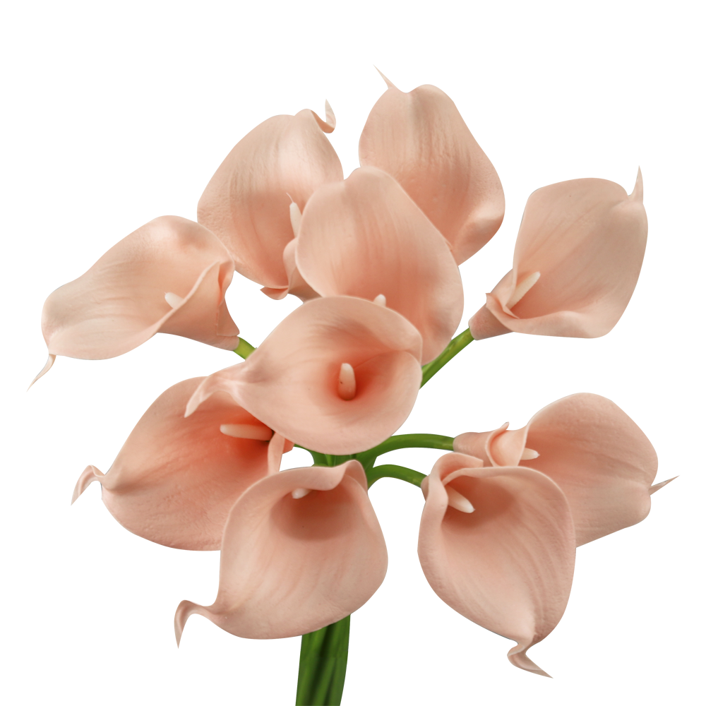 pack of 10 calla lilies-Pink Theme