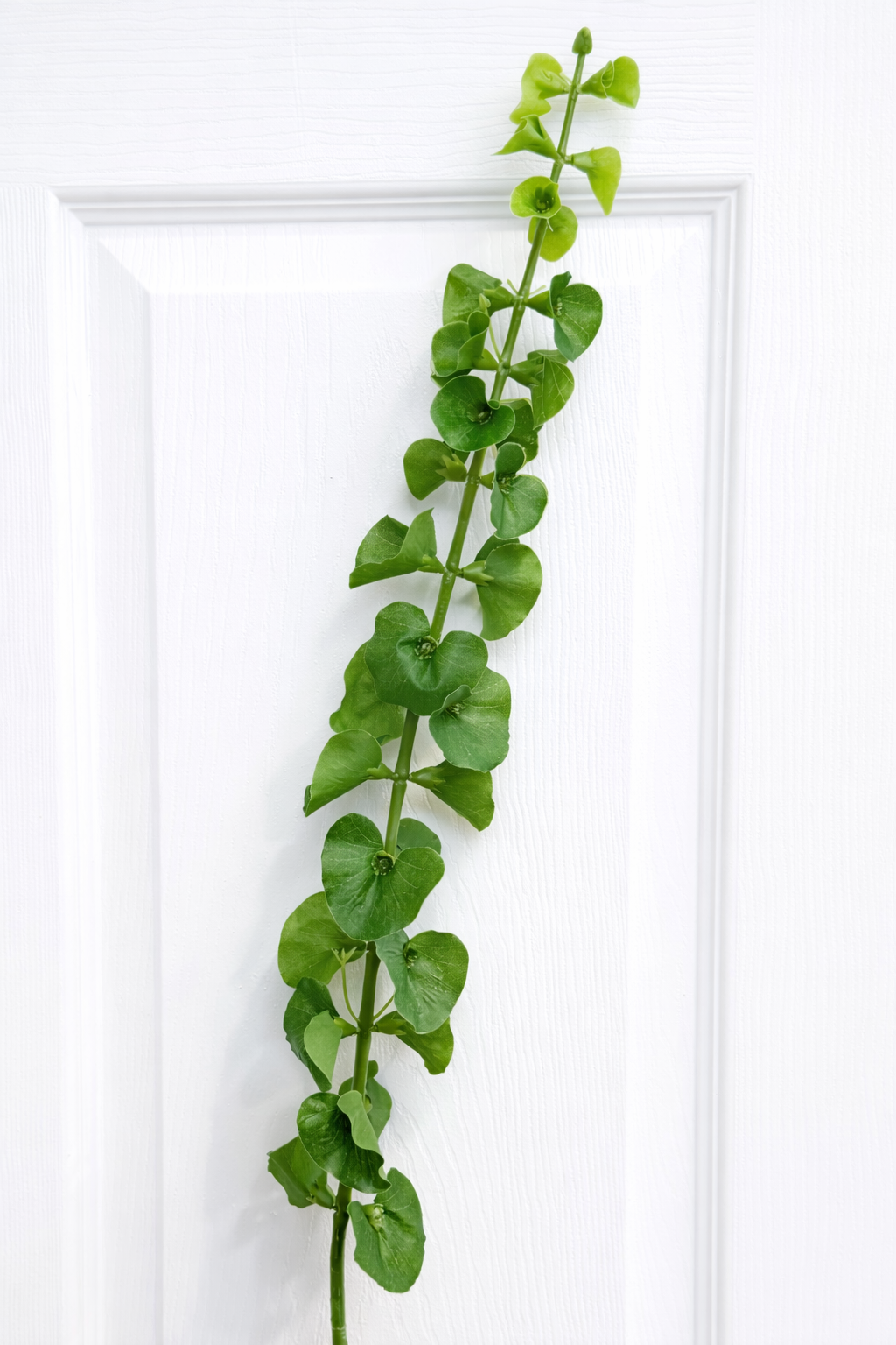 36"Faux Greenery Stem-Smooth Dry Plastic Film leaf