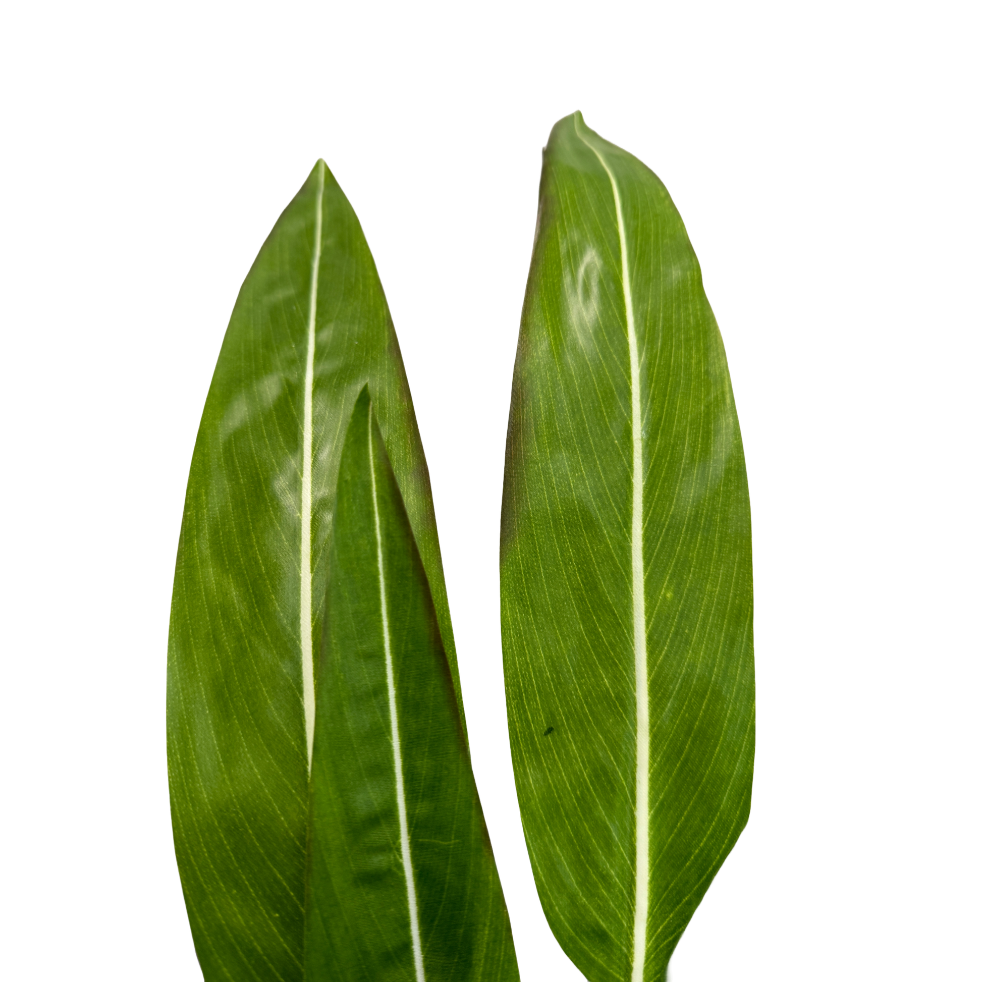 35" Artificial Bird of Paradise Leaf Bush-7 Sprays