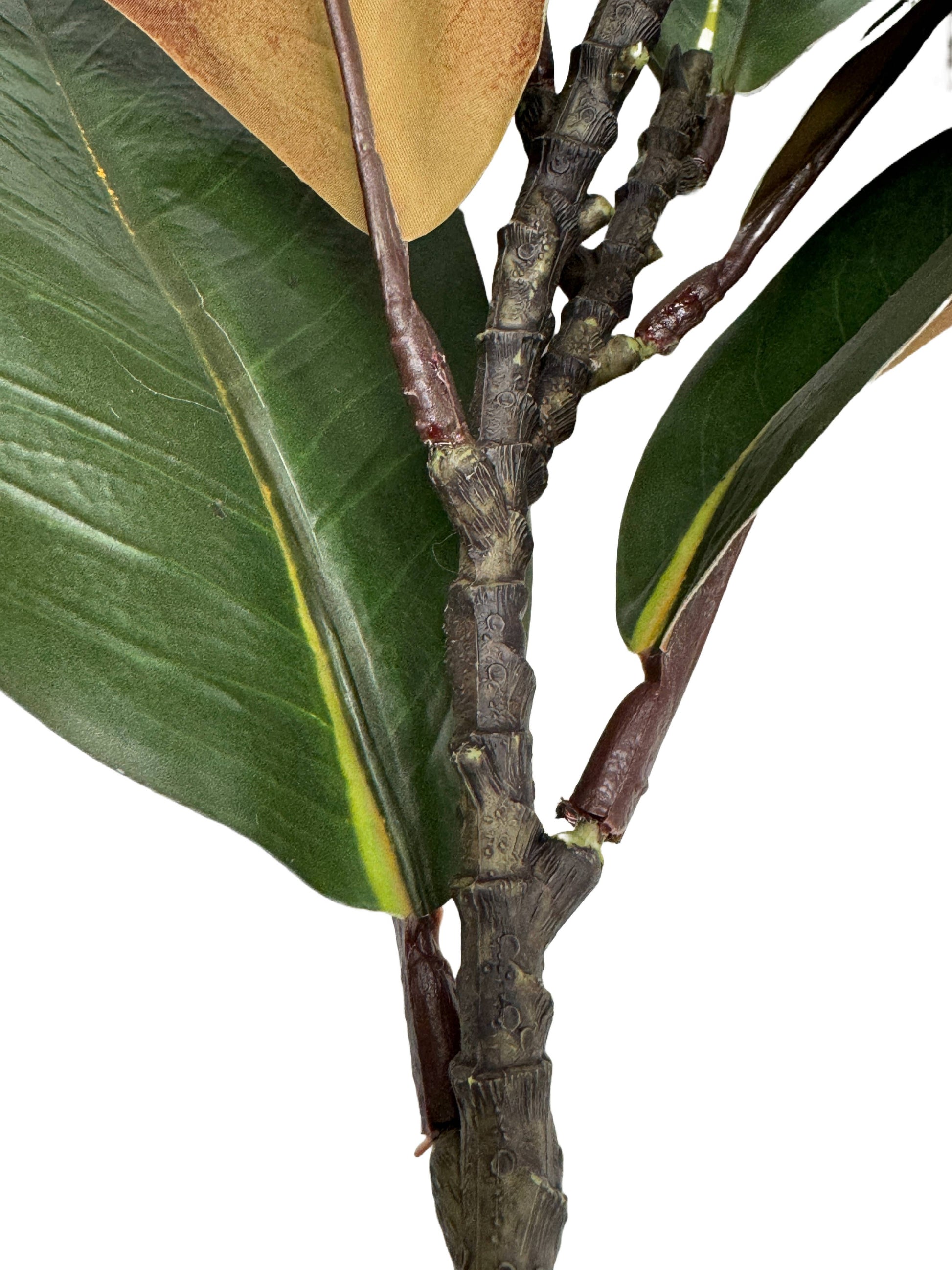 22"Ultra realistic Real Touch Magnolia Stem-10 leaves