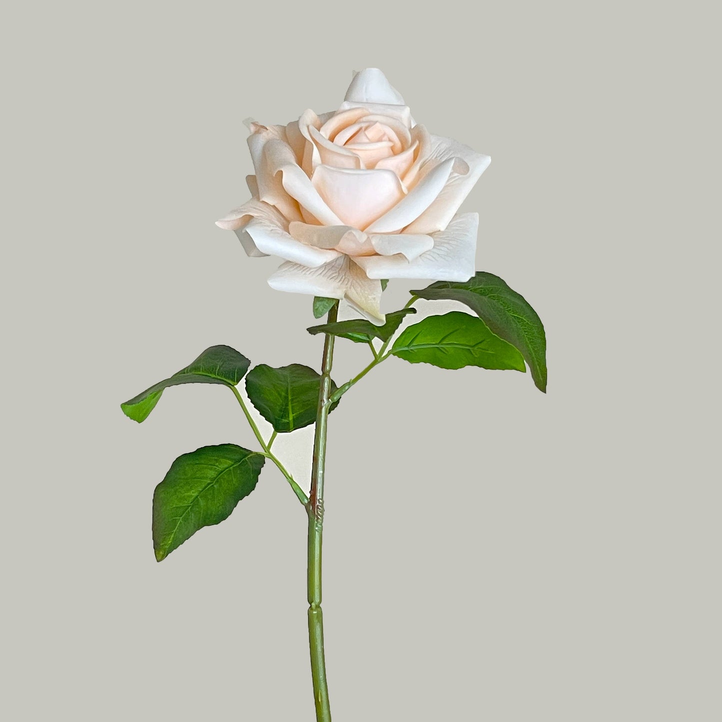 17"Moisturized coating Real Touch Rose