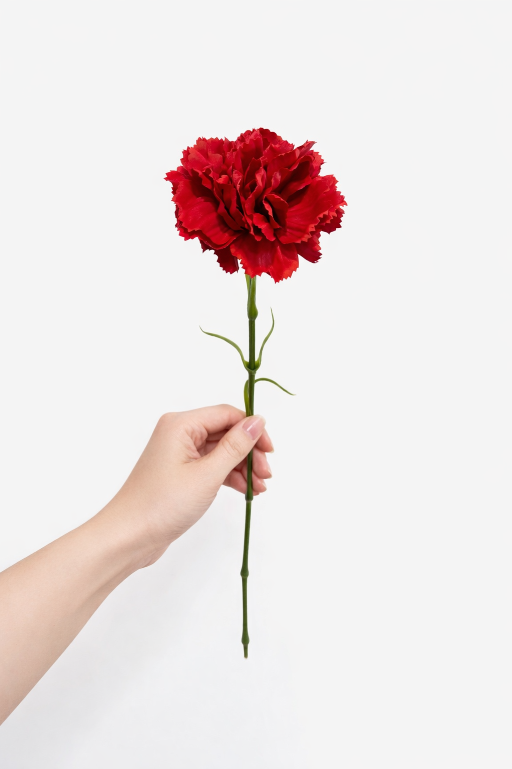 19.5"-Real Touch Needle Petal Modern Look Carnation