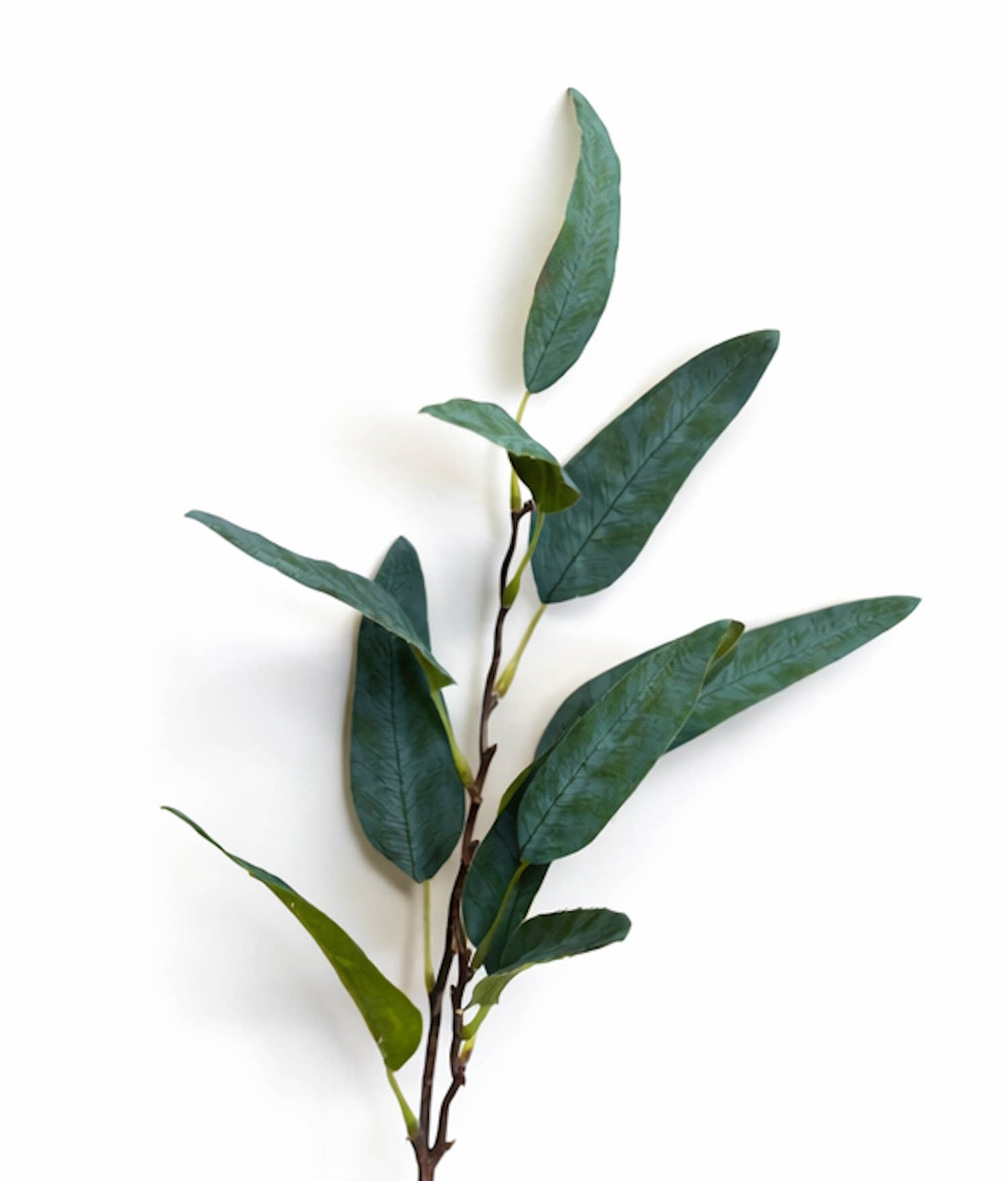 40"Artificial Eucalyptus stem-Polyester fabric made